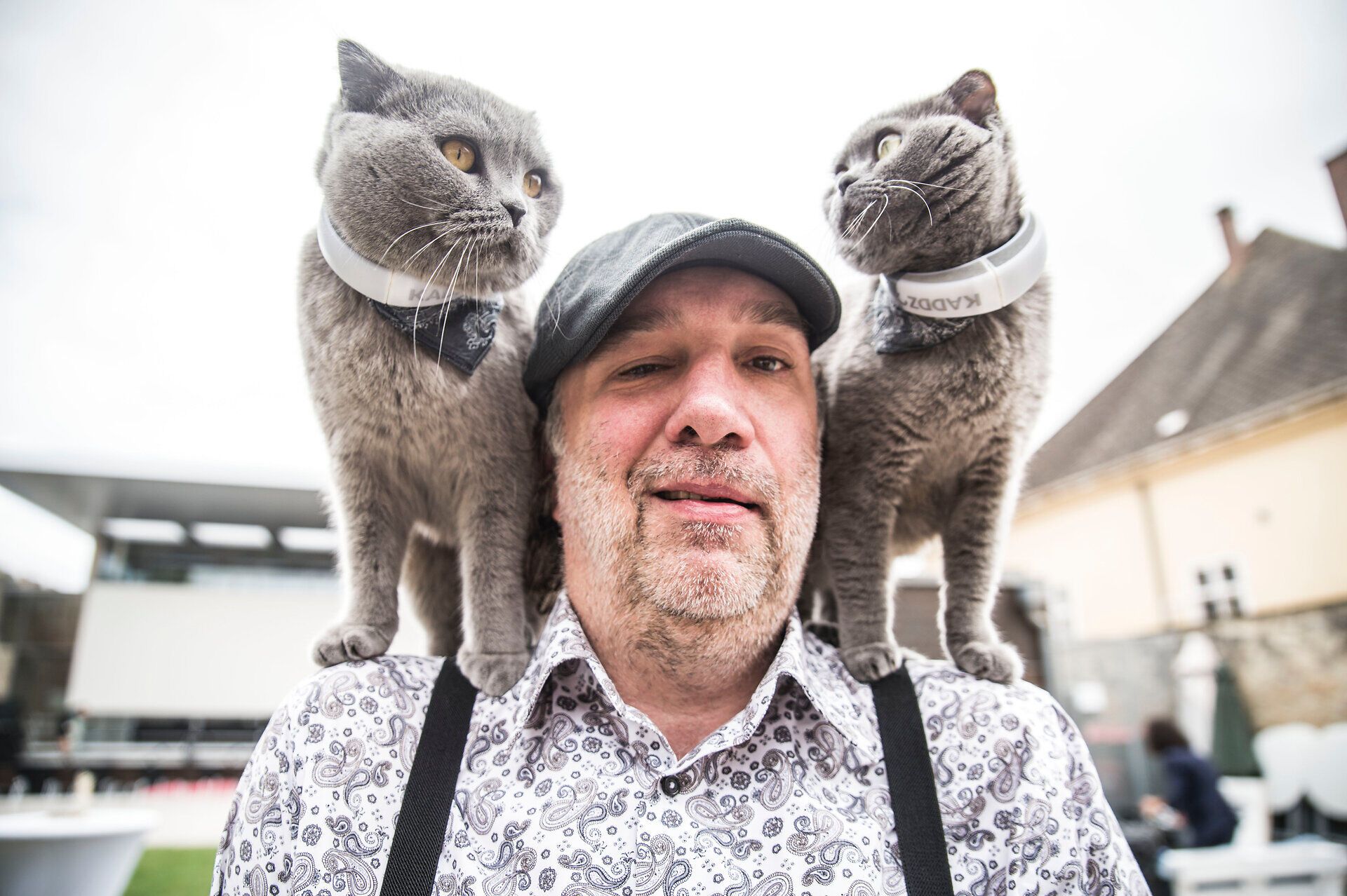 Ein fröhlicher Mann mit zwei grauen Katzen auf den Schultern genießt die entspannte Atmosphäre des Netzhaut Festivals. Die Umgebung strahlt Lebensfreude und Kreativität aus, während die Besucher die Vielfalt der Veranstaltungen und die Schönheit der Wiener Alpen erleben. Ein unvergesslicher Moment, der die Verbindung zwischen Mensch und Tier feiert.
