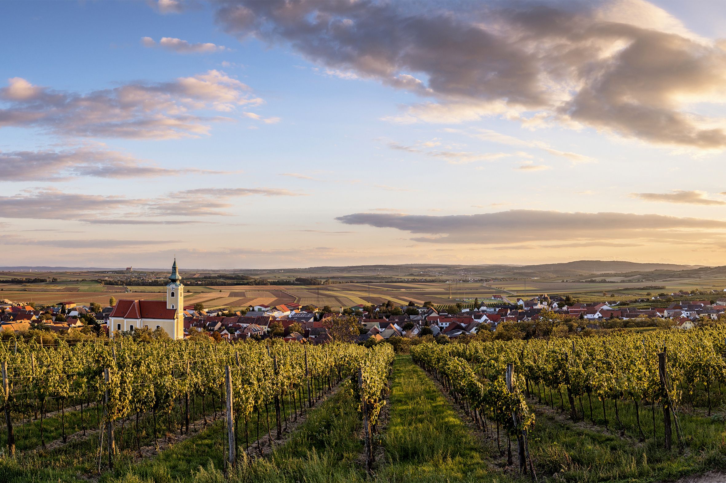 Blick auf Röschitz mit Kirche und Weinbergen im Vordergrund bei Sonnenuntergang.