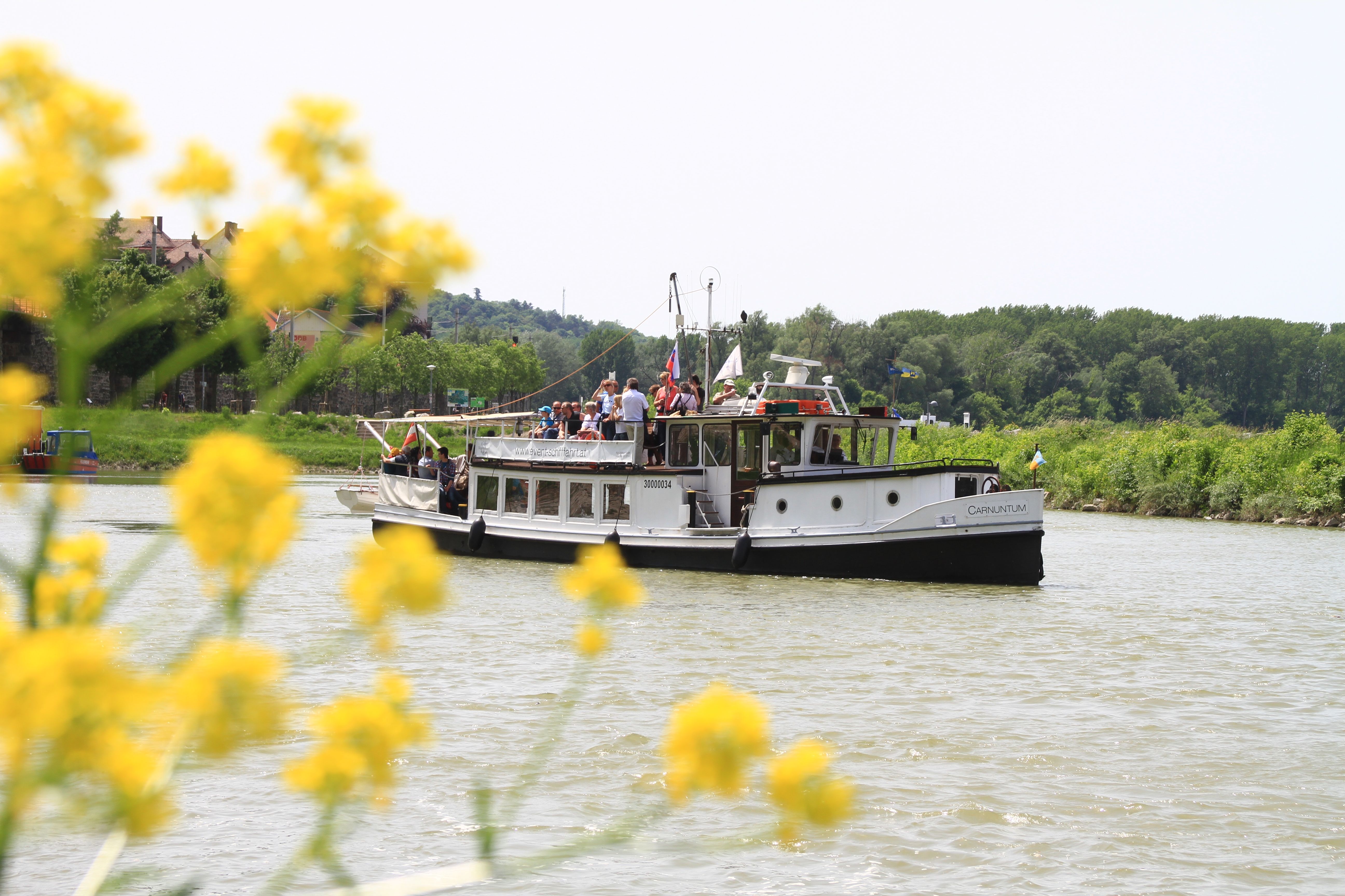 Ein Ausflugsboot auf einem Fluss, umgeben von grüner Landschaft und gelben Blumen im Vordergrund.