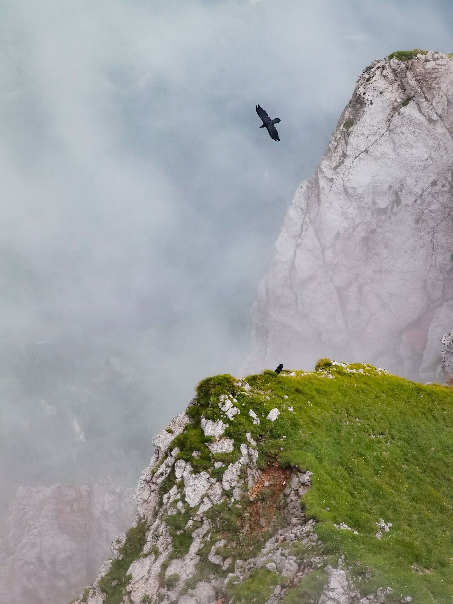 Inmitten der majestätischen Berge schwebt ein schwarzer Vogel über den nebelverhangenen Klippen. Die frische, klare Luft und das sanfte Rauschen der Natur laden zu einem unvergesslichen Abenteuer in den Wiener Alpen ein.