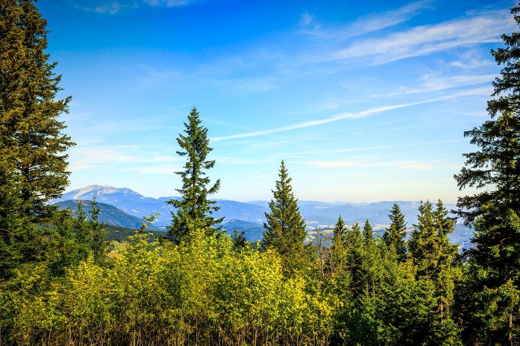 Kampsteiner Schwaig mit Blick auf Schneeberg