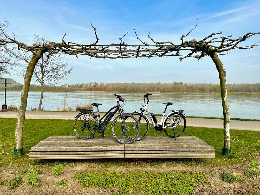 Zwei E-Bikes stehen auf einer Holzplattform am Flussufer, umgeben von Bäumen und einem klaren Himmel.