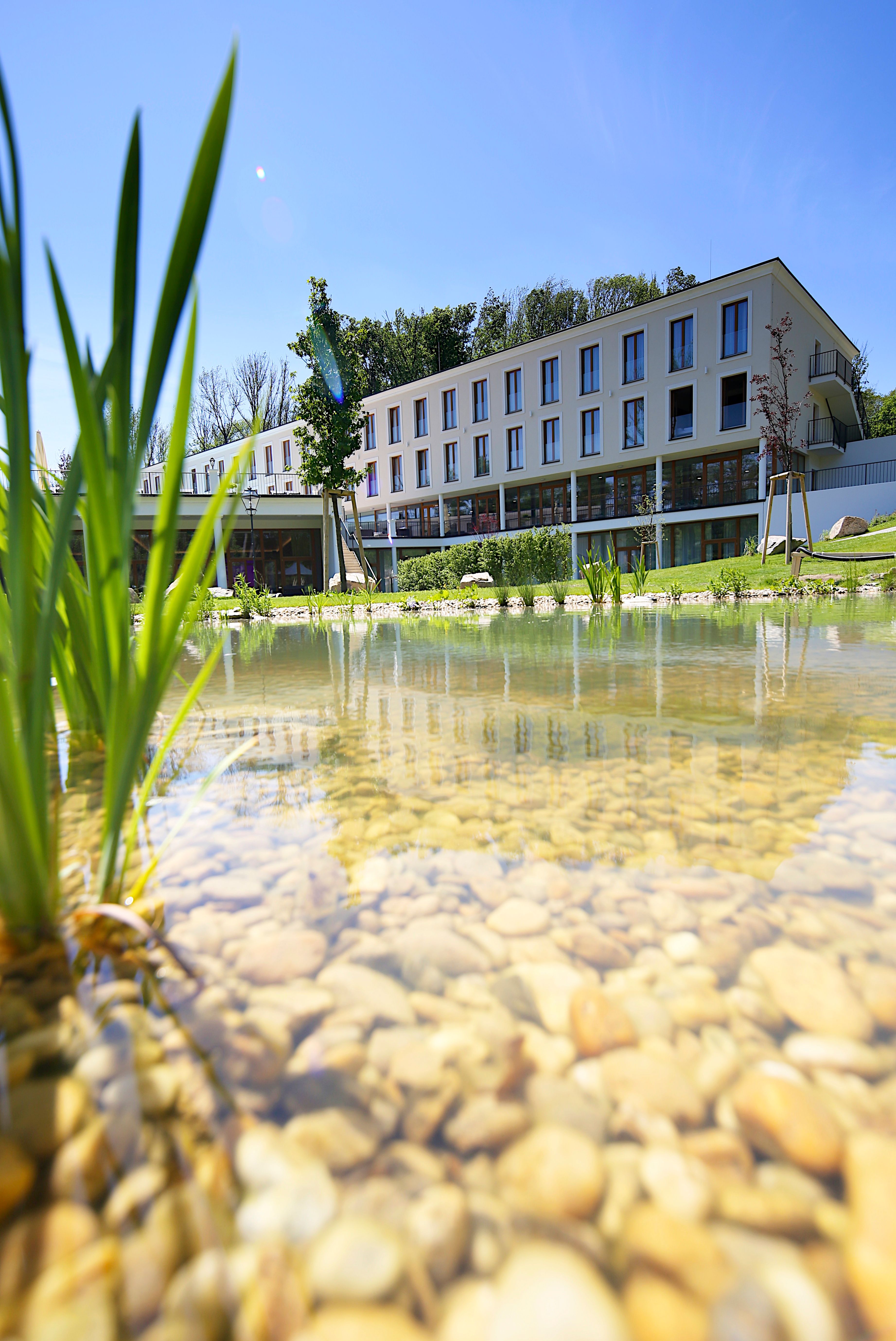 Ein modernes Gebäude mit Terrasse in einem grünen Park mit Blumen und Bäumen.