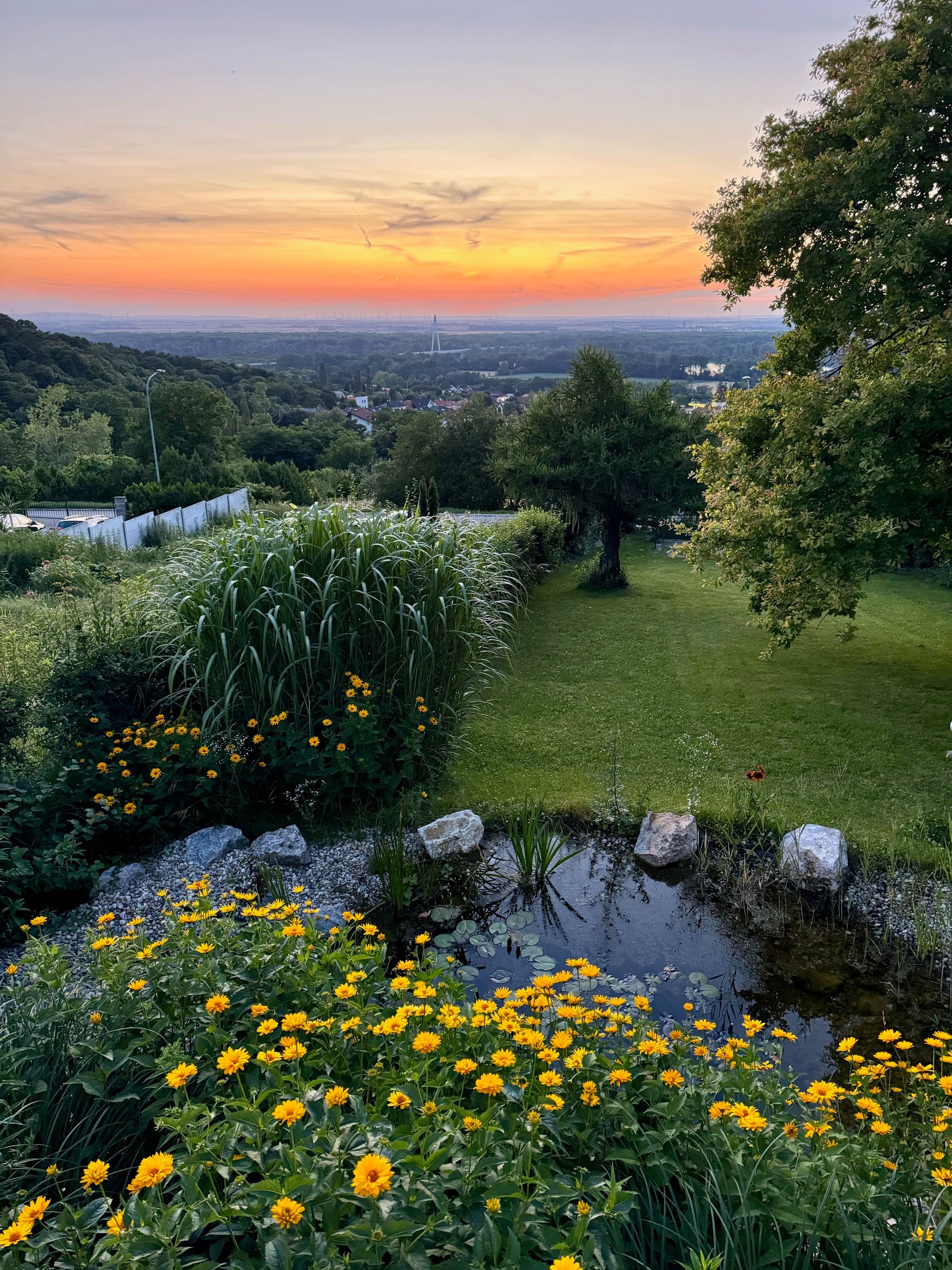 Sonnenuntergang über Hainburg an der Donau vom Garten des Chalet Auenblick mit gelben Blumen und kleinem Teich im Vordergrund.