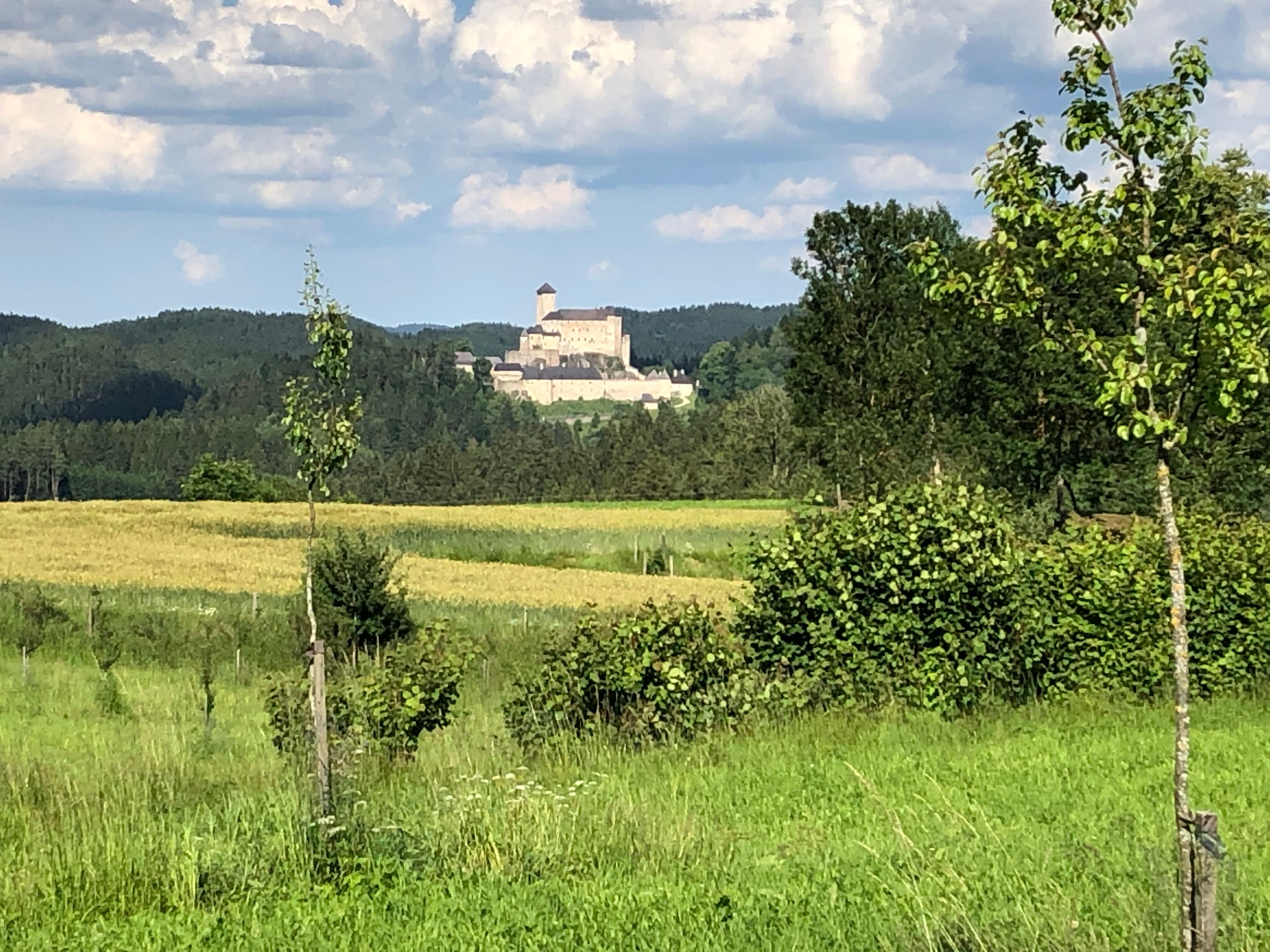 Burgblick