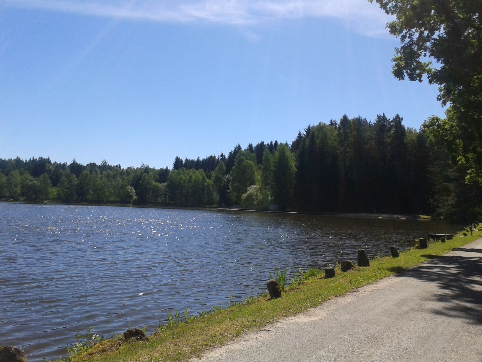 Teich