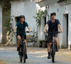 Sanfte Hügel und malerische Kellergassen laden zu einer entspannten Radtour ein. Die goldenen Blätter der Bäume fallen sanft auf den Weg, während Radfahrer die ruhige Atmosphäre genießen. Hier in der Weinregion wird jeder Moment zum Genuss.