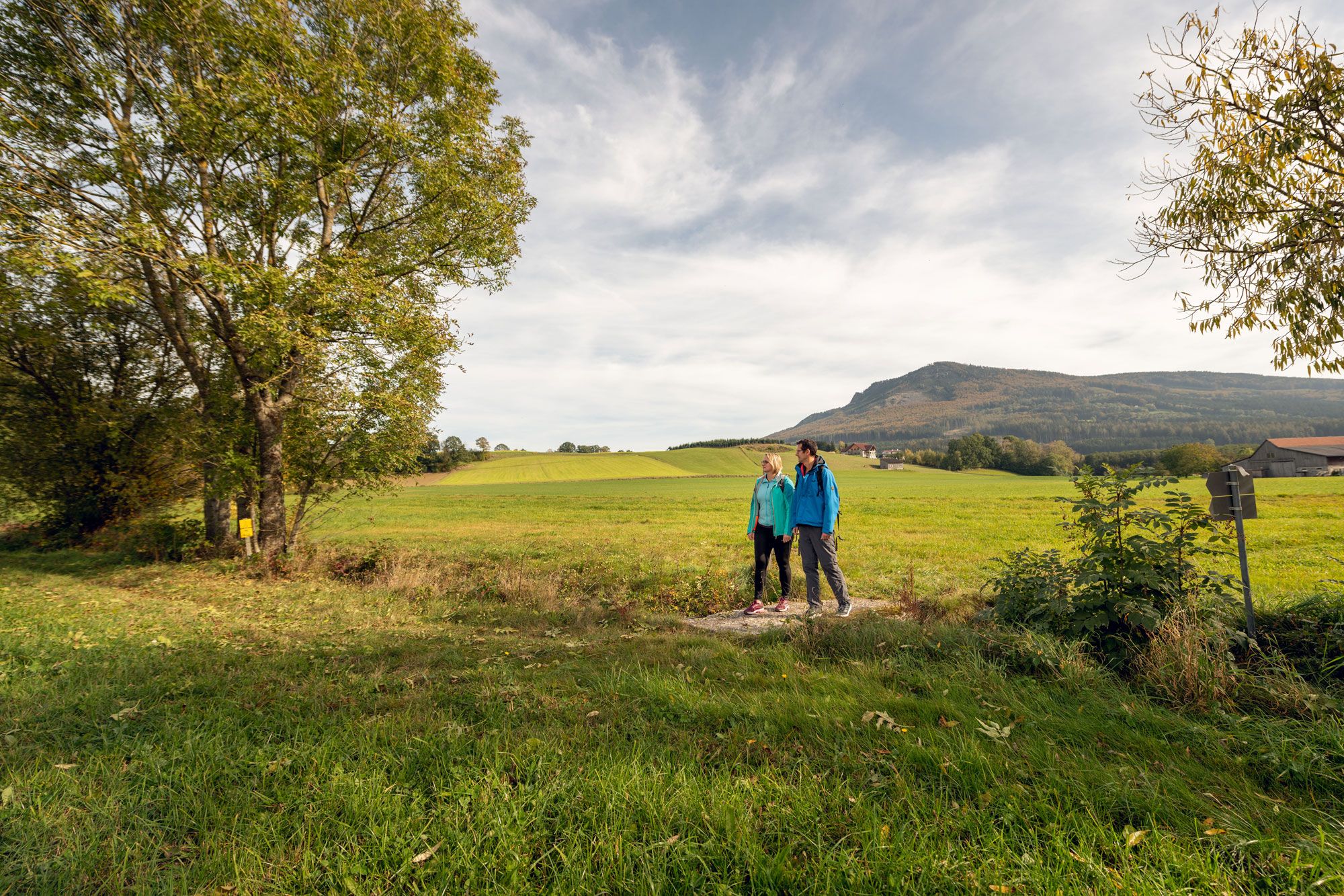 Zwei Personen wandern auf einem Feldweg im Südlichen Waldviertel, umgeben von grünen Wiesen und einem bewaldeten Hügel im Hintergrund.