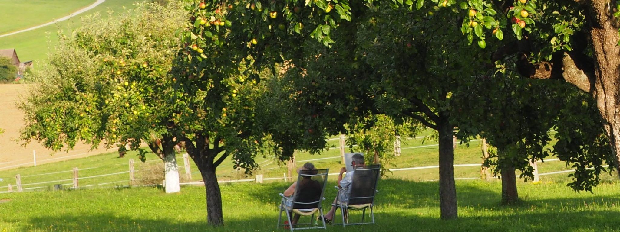 im-hausgarten-ein-kuehles-plaetzchen