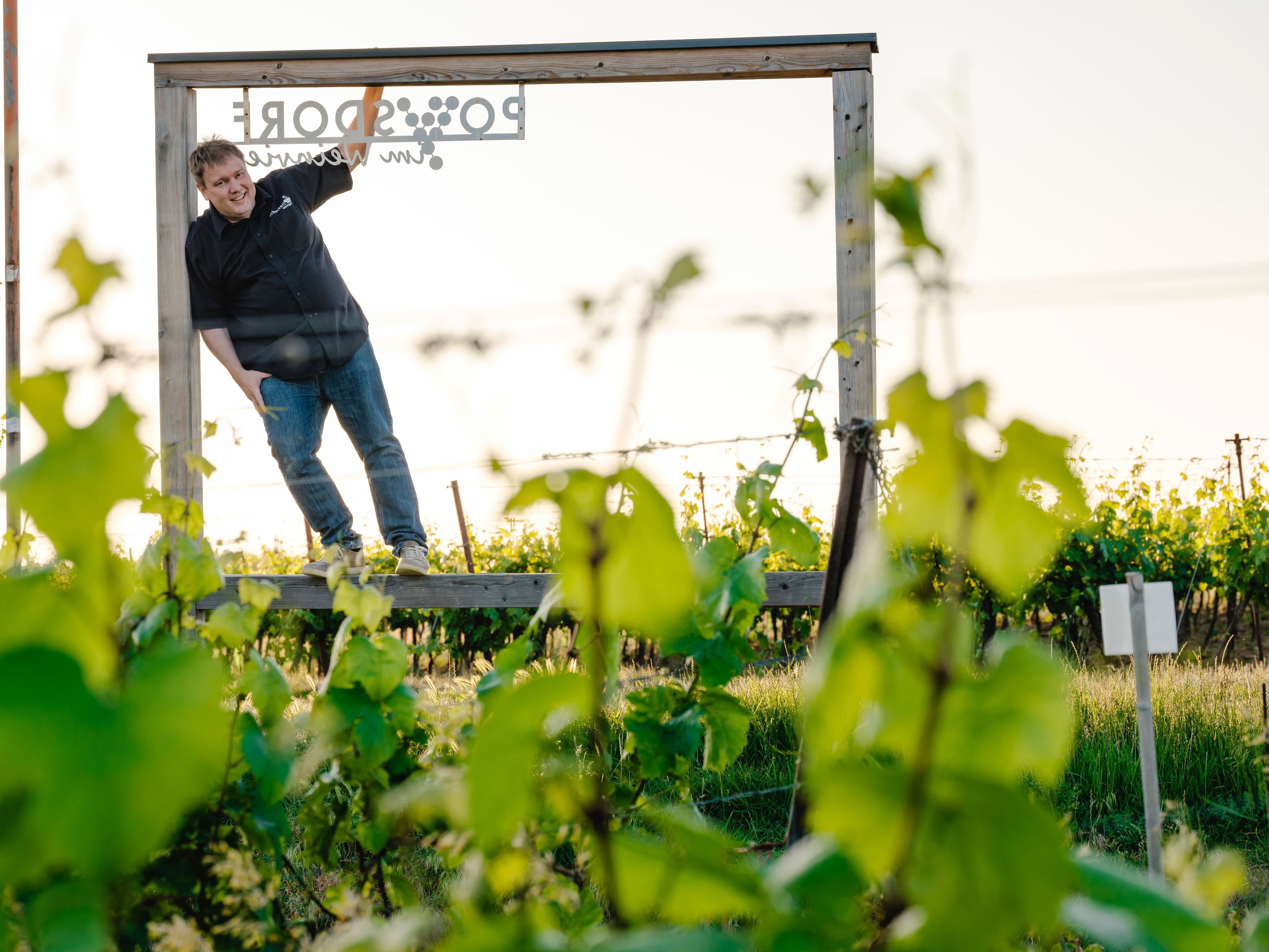 Ein Mann steht in einem Holzrahmen in einem Weinberg, umgeben von grünen Blättern.