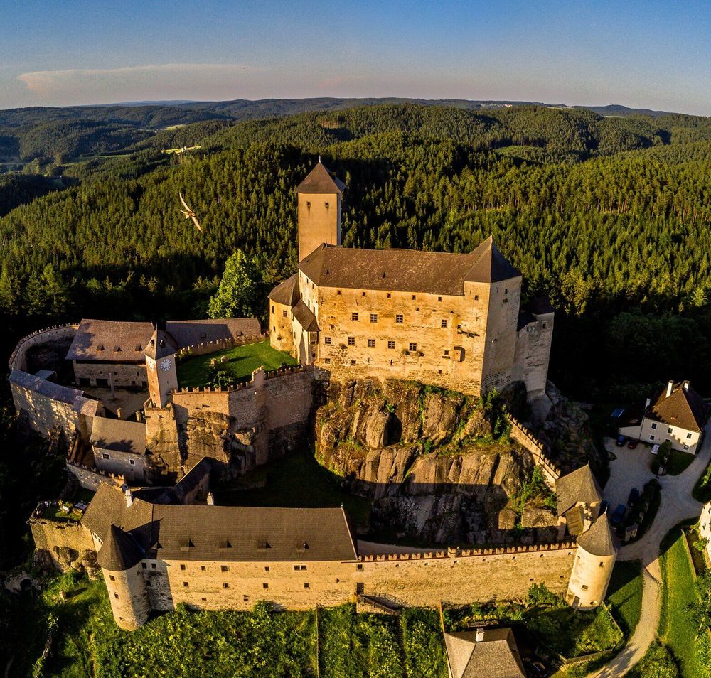 Die majestätische Burg thront stolz über der malerischen Waldlandschaft, umgeben von dichten Wäldern und sanften Hügeln. Hier erleben Besucher die faszinierende Geschichte und die atemberaubende Aussicht, die das Herz eines jeden Natur- und Geschichtsfreundes höher schlagen lässt.