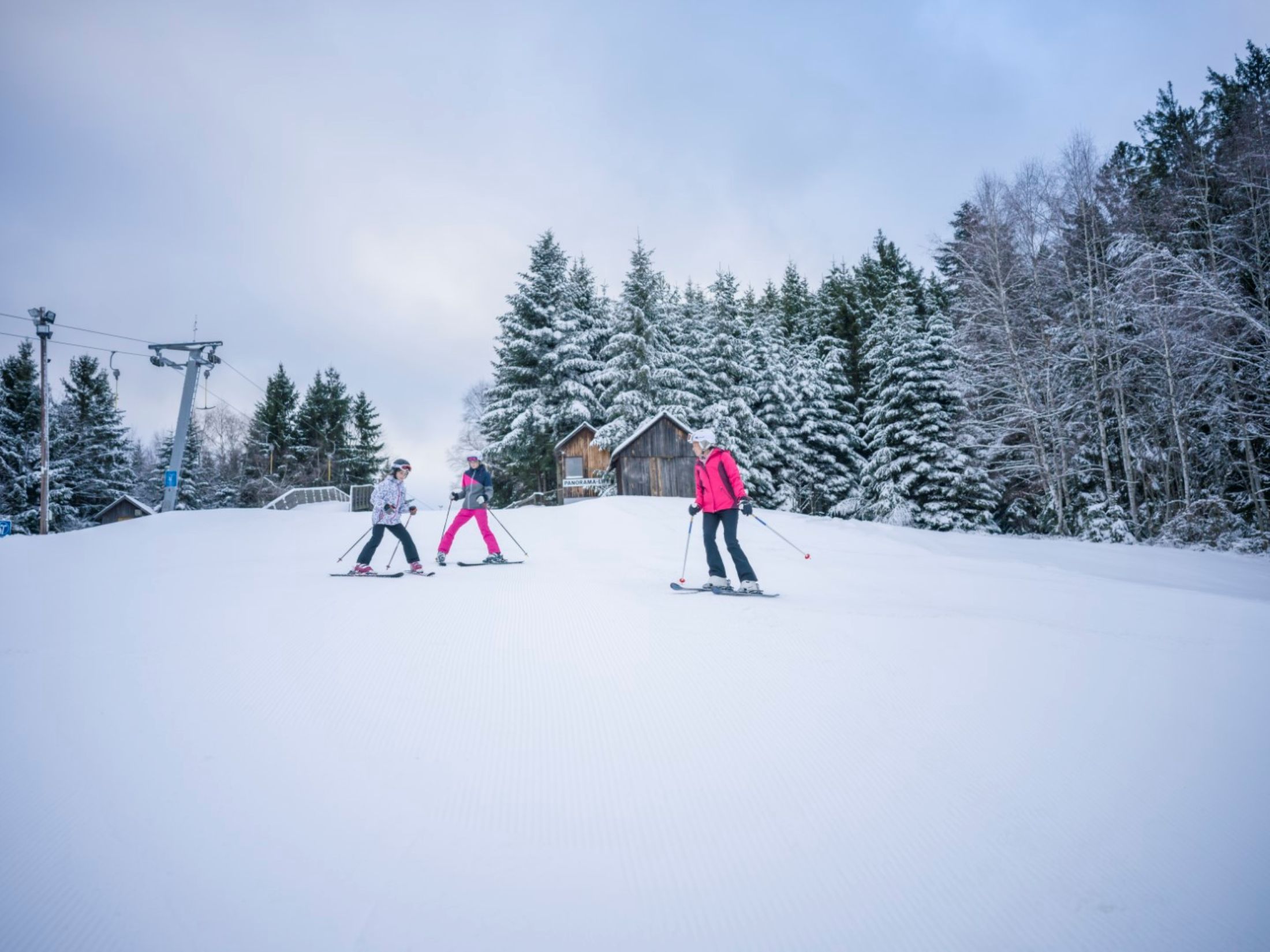 Drei Skifahrer auf einer verschneiten Piste mit Bäumen im Hintergrund.