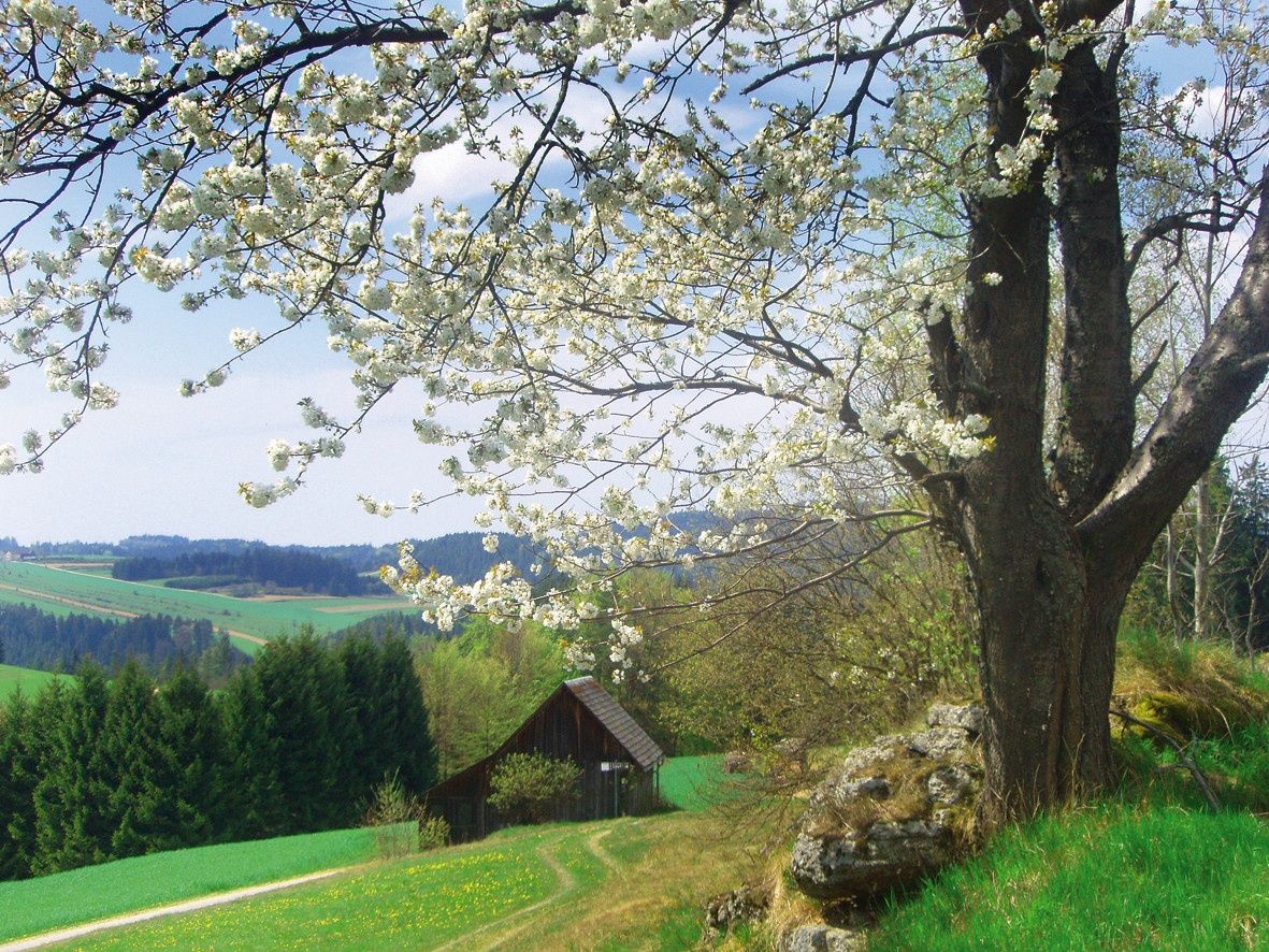 Schindelmacherweg