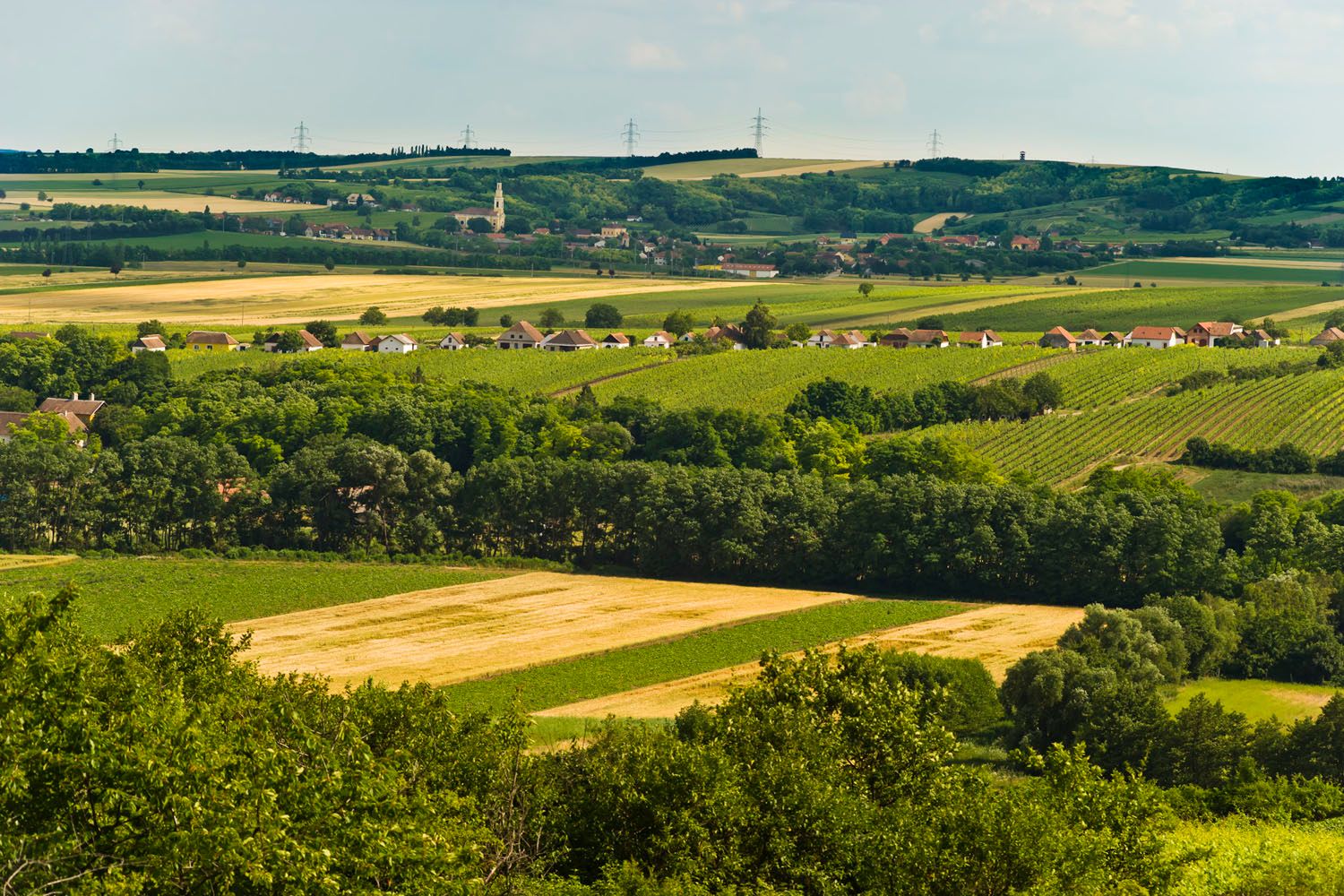 Landschaft mit Feldern, Bäumen und einem Dorf im Hintergrund.