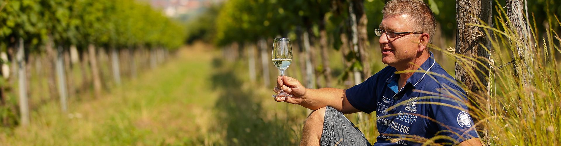 Weingut Traunfellner