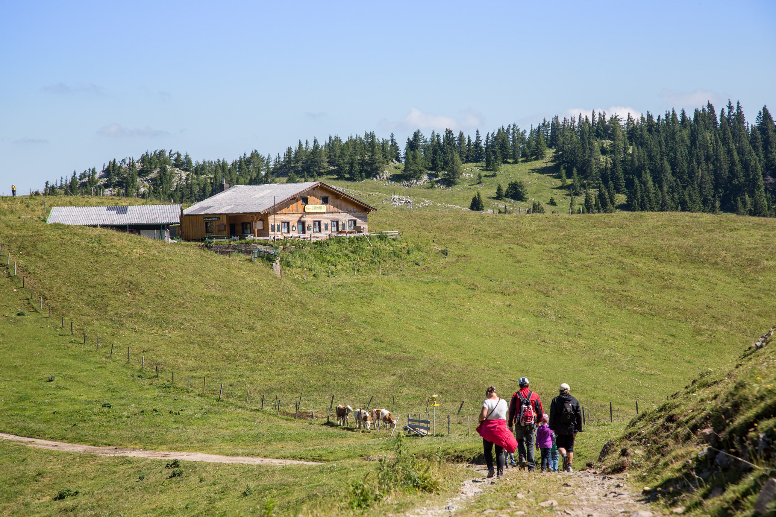 Eine Gruppe von Wanderern nähert sich einem Berghaus auf einer grünen Almwiese.
