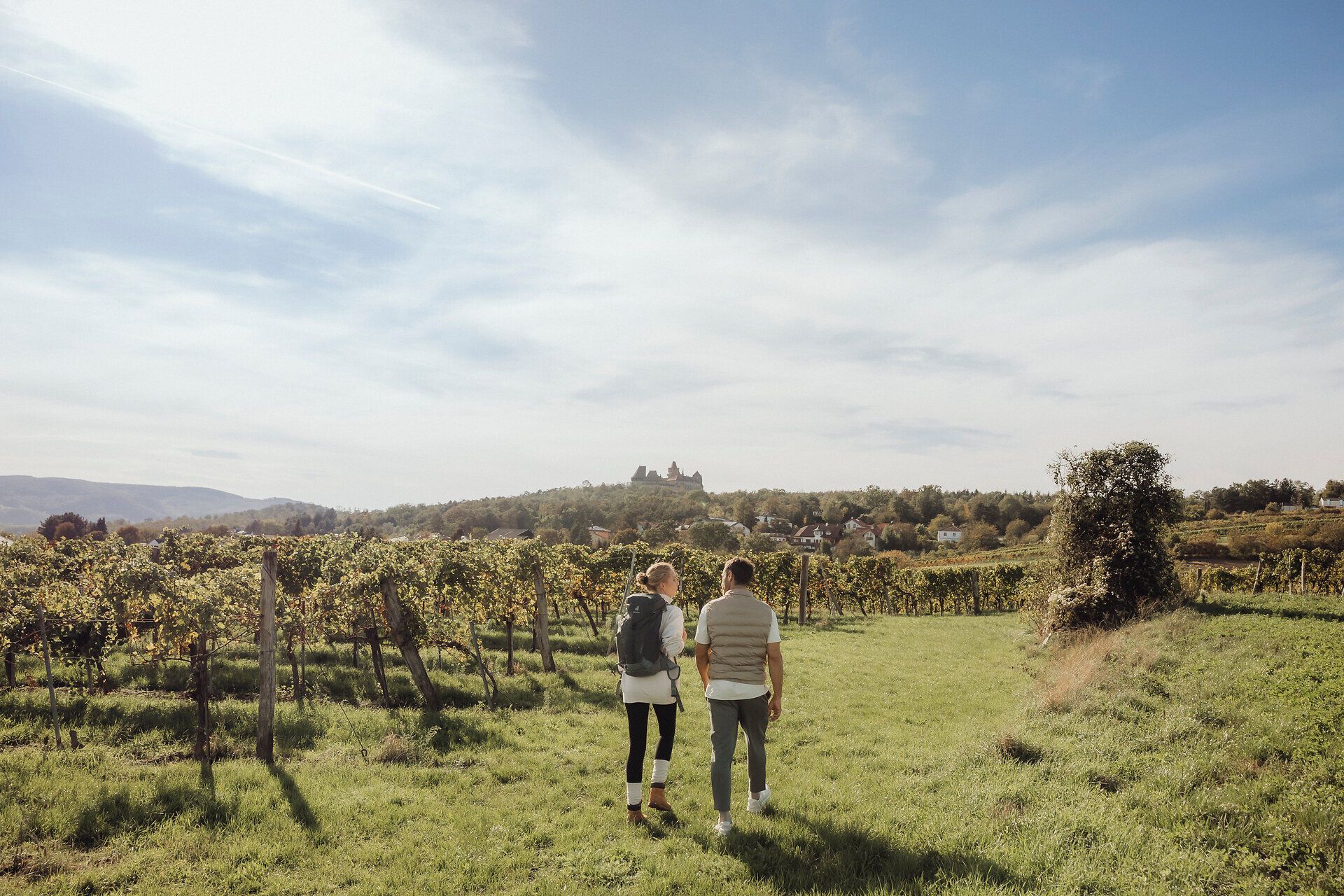Ein Paar schlendert durch die sanften Weinberge, umgeben von der malerischen Landschaft des Weinviertels. Die Sonne strahlt am Himmel und taucht die Umgebung in warmes Licht, während die Reben in voller Pracht erblühen. Ein perfekter Tag für eine genussvolle Wanderung durch die Weinregion.