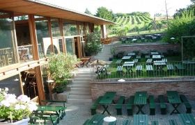 Ein Außenbereich eines Restaurants mit grünen Holztischen und Bänken, umgeben von Weinbergen.