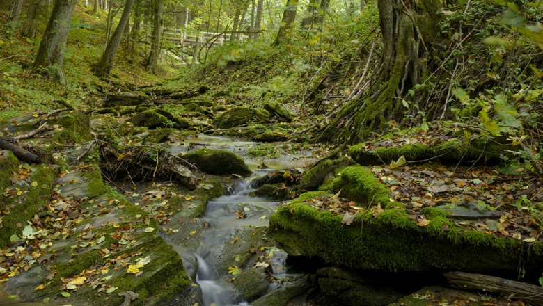 Idyllisches Aumühltal mit dem ‚Weg der Stille‘