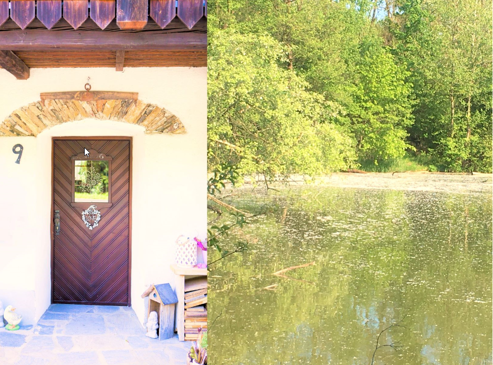 Eingangstür eines Cottages mit der Nummer 9 neben einem Teich mit Bäumen.