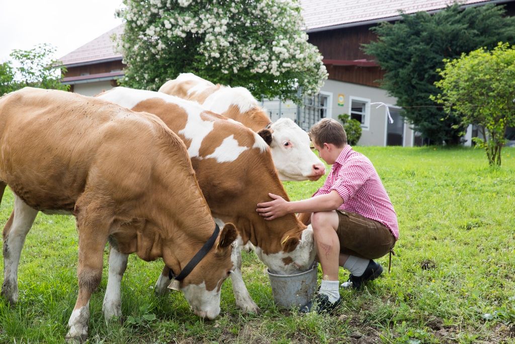 Hofkäserei Sonnhalmberg