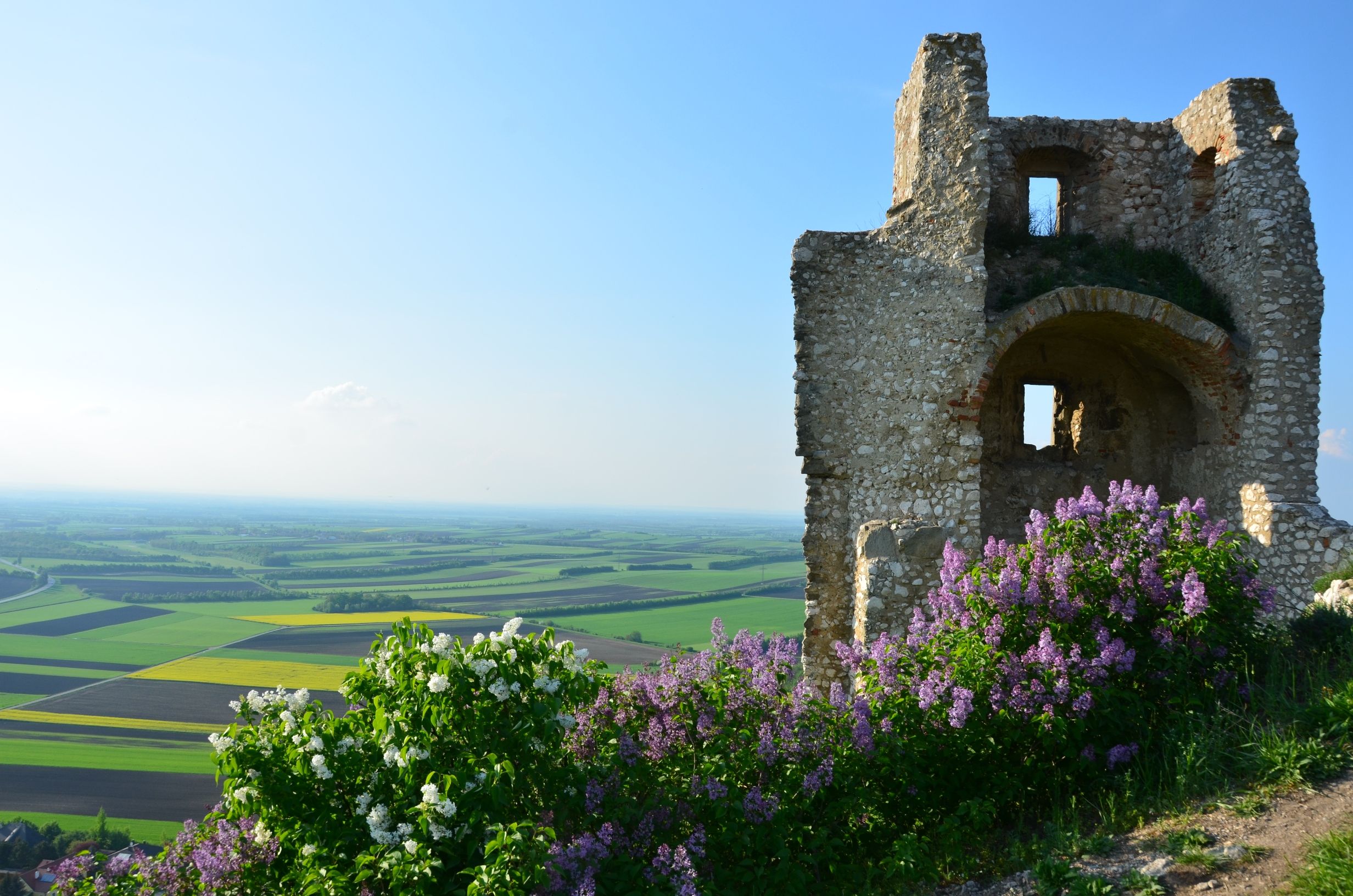 Ruine mit blühendem Flieder im Vordergrund und weitem Blick über Felder.