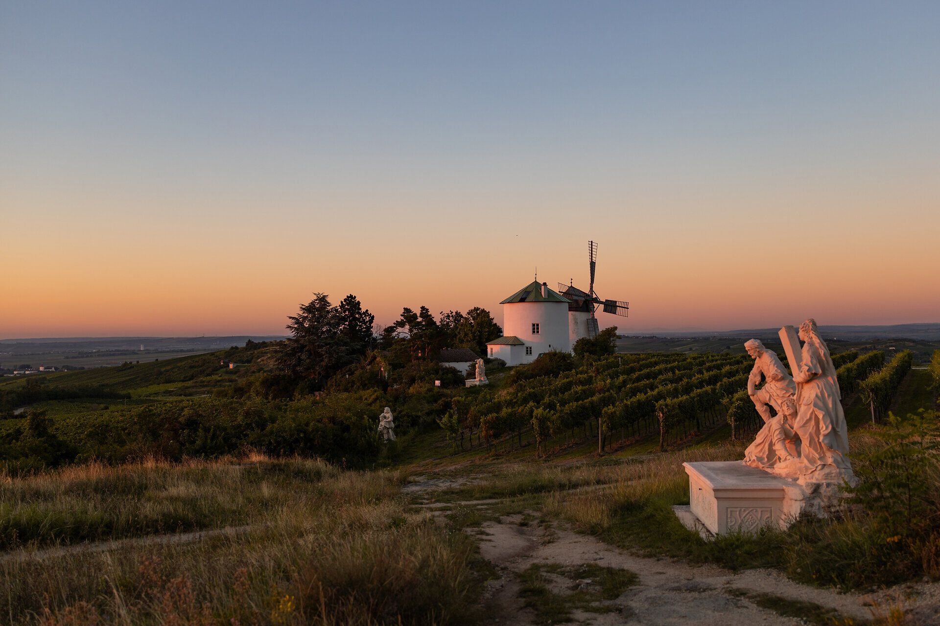 In der sanften Abenddämmerung erstrahlt die Windmühle majestätisch über den sanften Hügeln des Weinviertels. Die Weinreben, die sich in sanften Wellen ausbreiten, laden zu einem entspannten Spaziergang ein, während die letzten Sonnenstrahlen den Himmel in ein warmes Farbenspiel tauchen.
