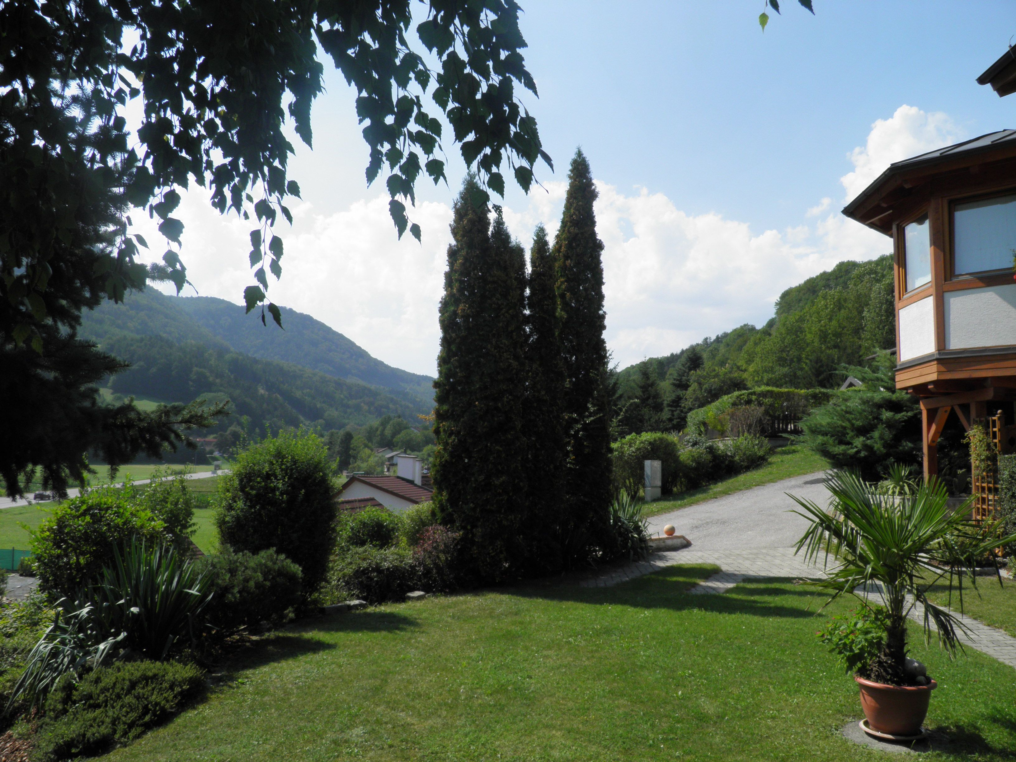 Garten mit Bäumen und Blick auf bewaldete Hügel im Hintergrund.