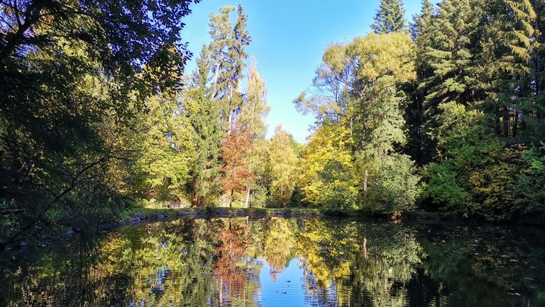 Idyllischer Spazierweg zu den Sachsenbrunner Teichen