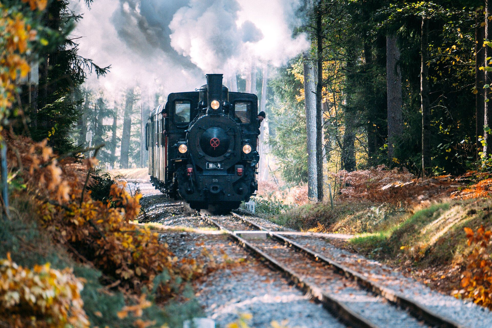 Schmalspurbahn mit Dampflock fährt durch herbstlichen Wald