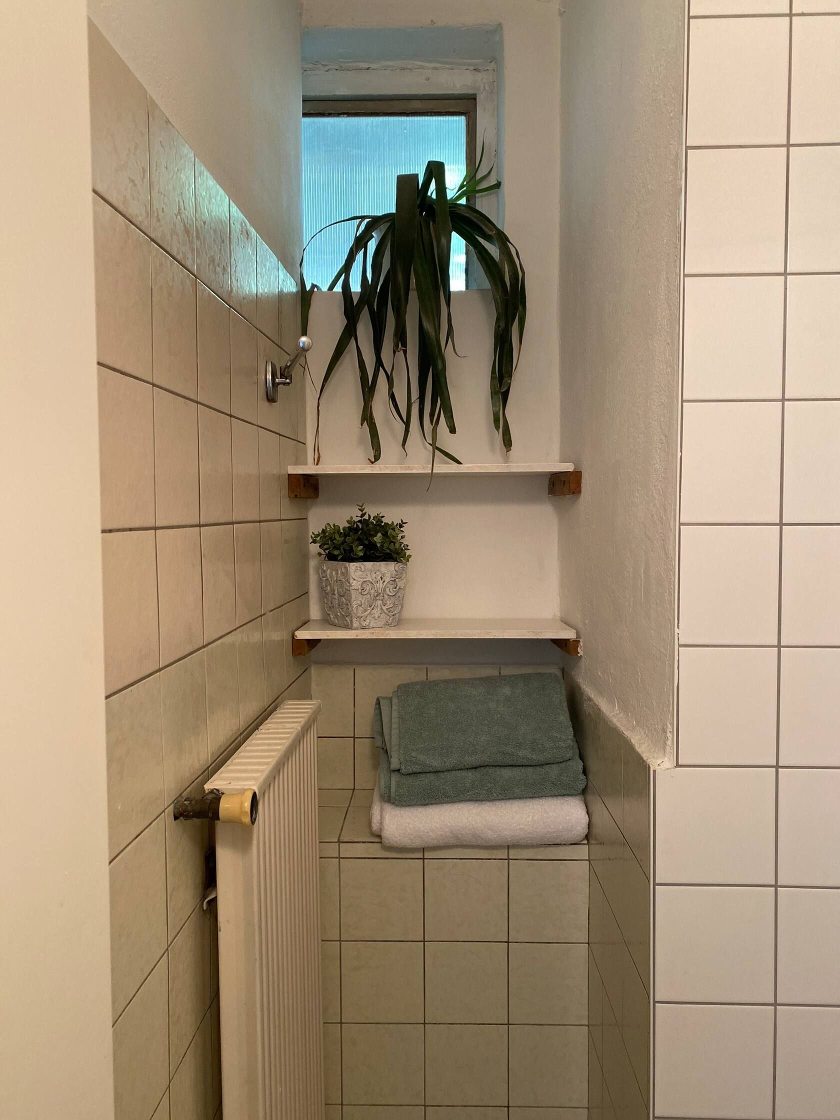 Badezimmer mit Handtüchern, Pflanzen und Heizkörper.