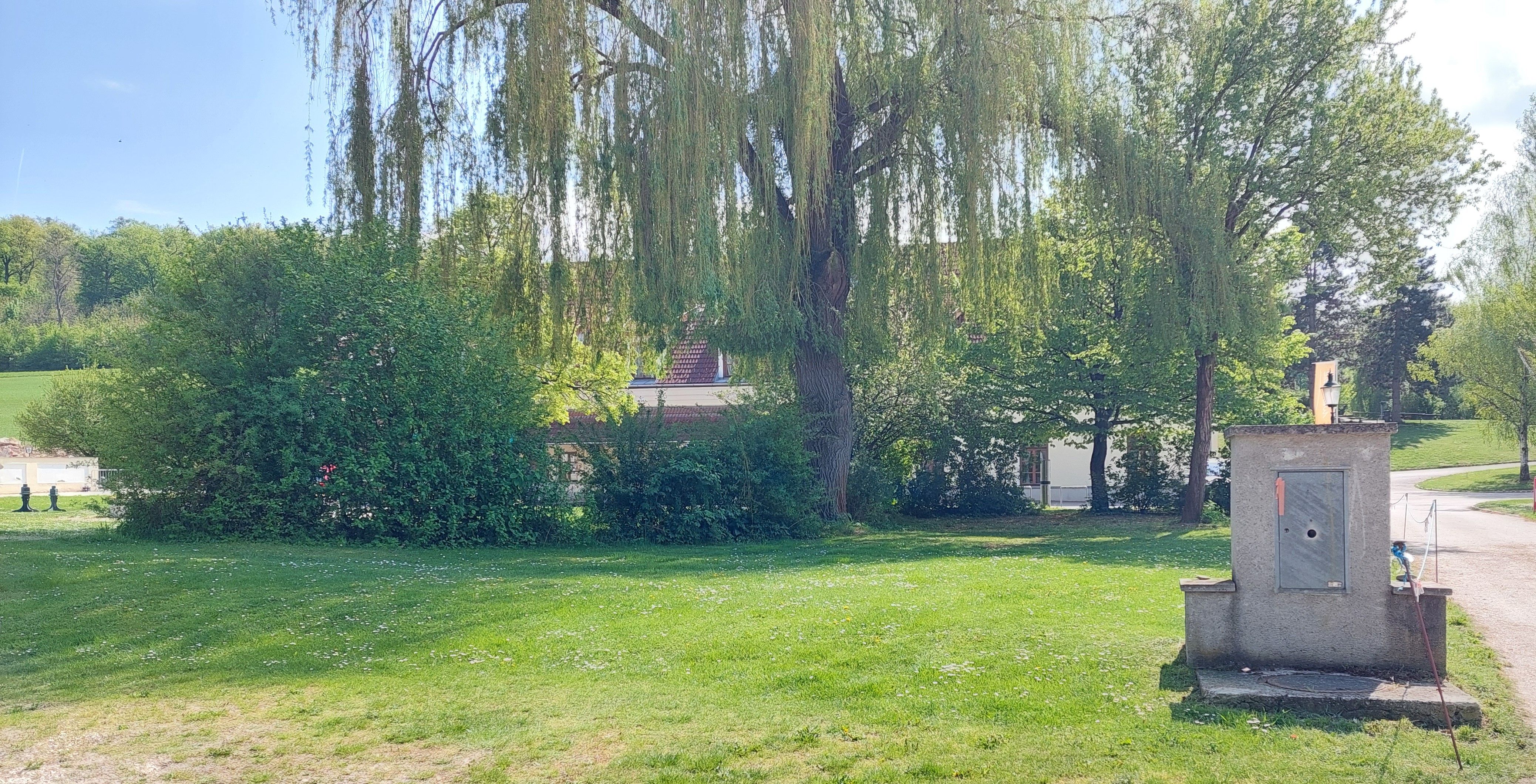 Grüne Wiese mit Bäumen und einem kleinen Gebäude im Hintergrund.