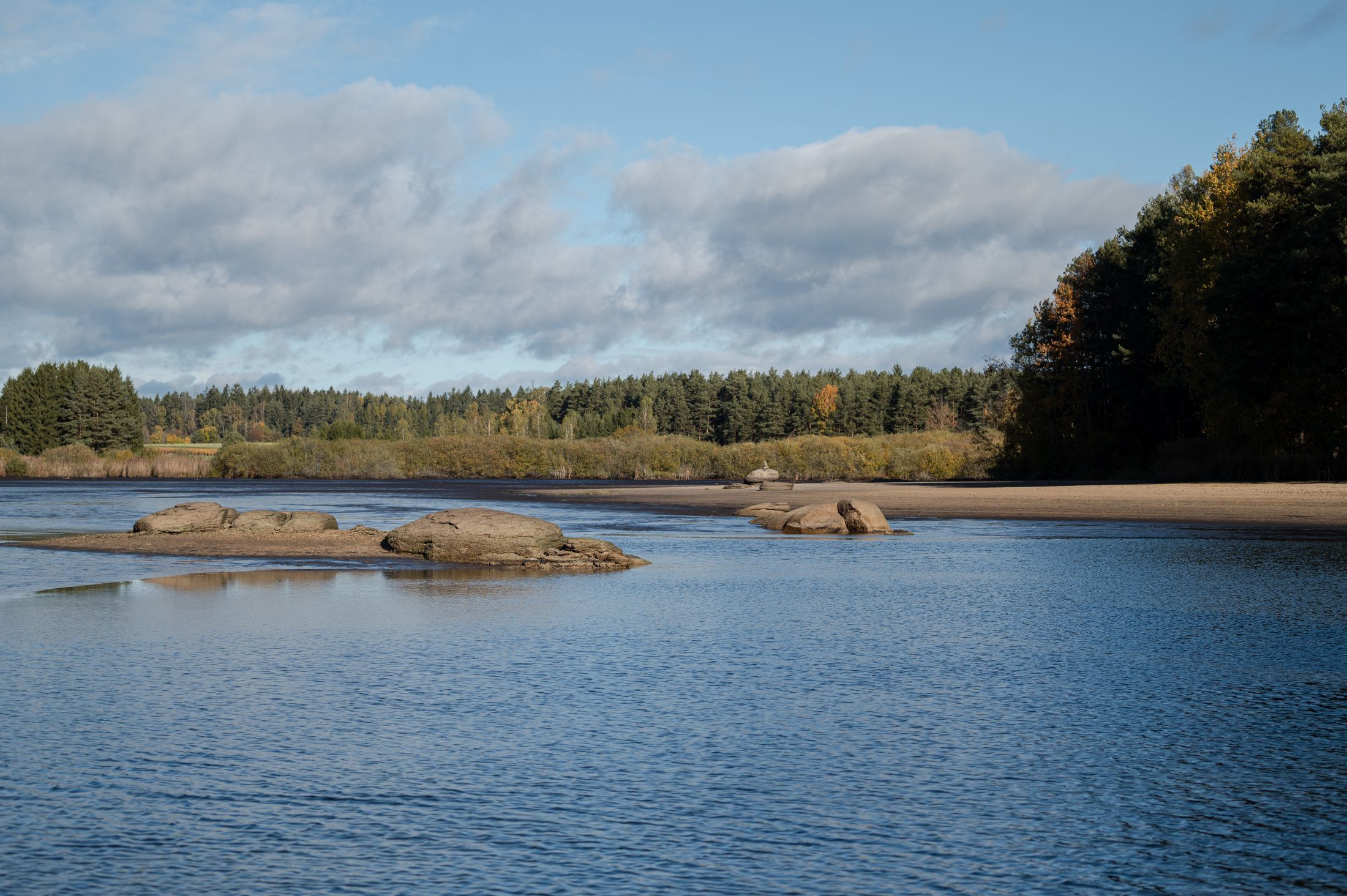 Ein Teich mit niedrigen Wasserstand, umgeben von Wald und Wolken am Himmel.