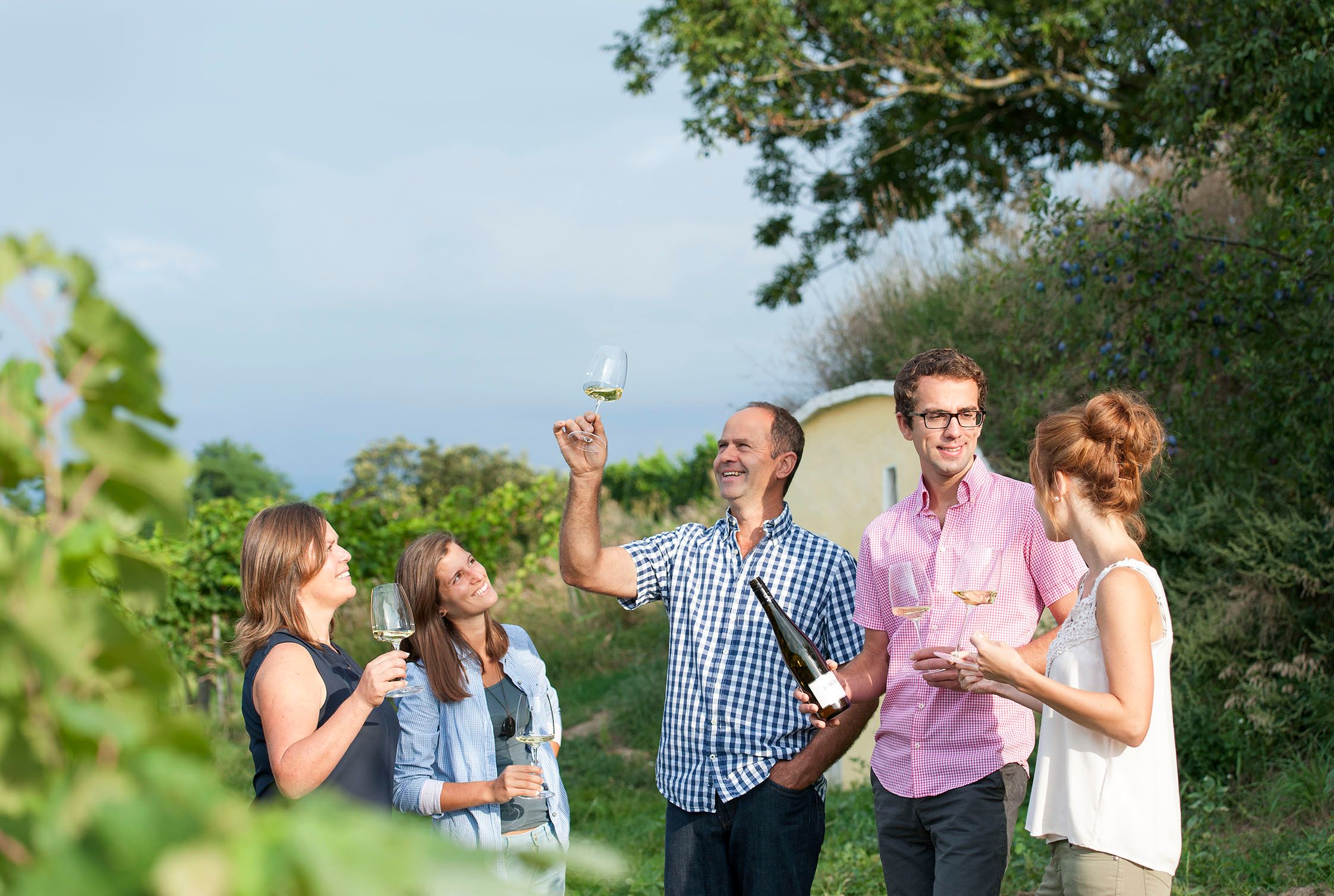 Gruppe von Menschen im Weinberg mit Weingläsern.