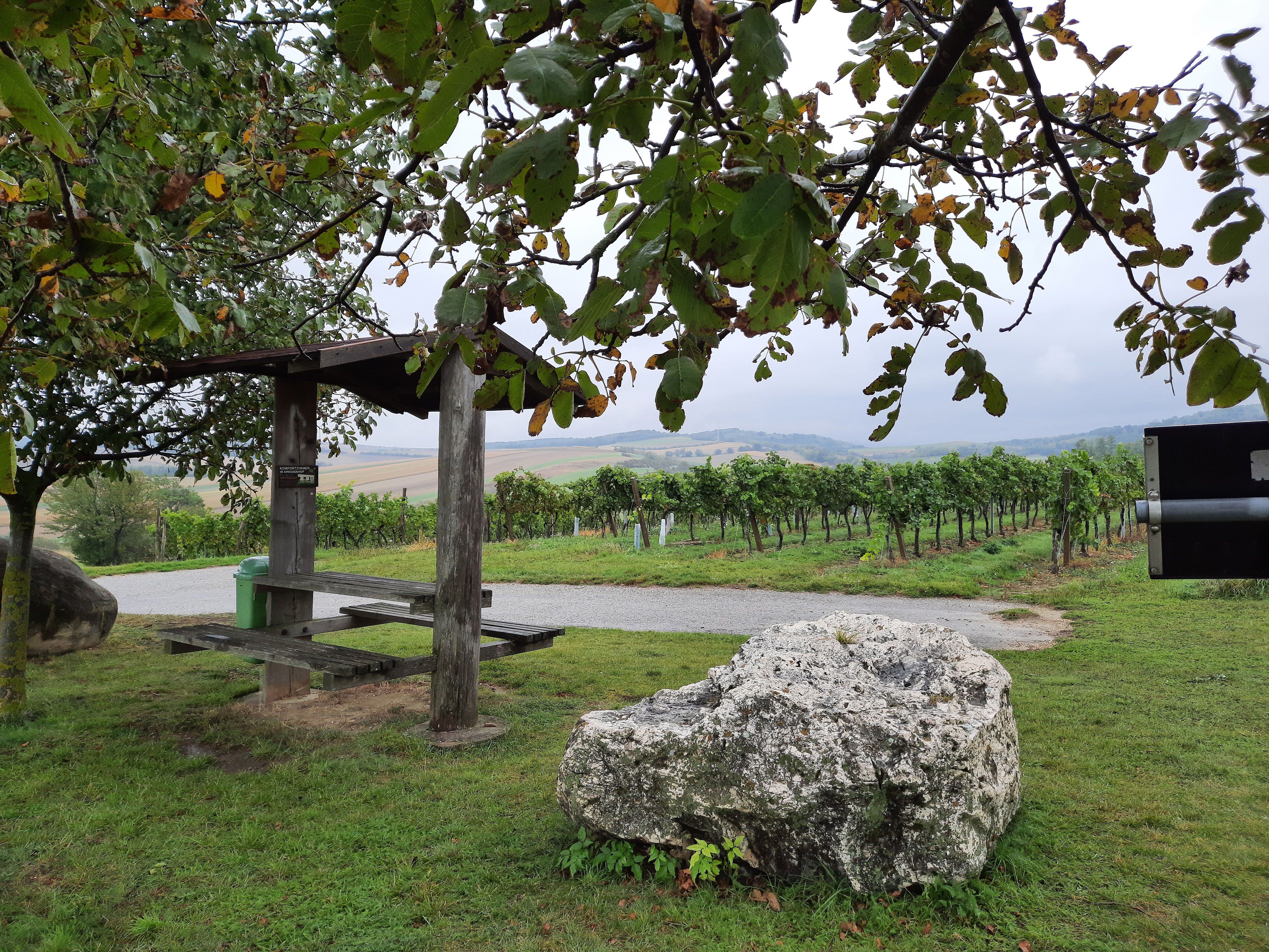 Ein Rastplatz mit Holzbänken und einem großen Stein in einem Weinberg, umgeben von grünen Reben und Bäumen.