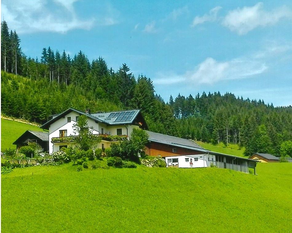 Bauernhof Seppenbauer im Sommer