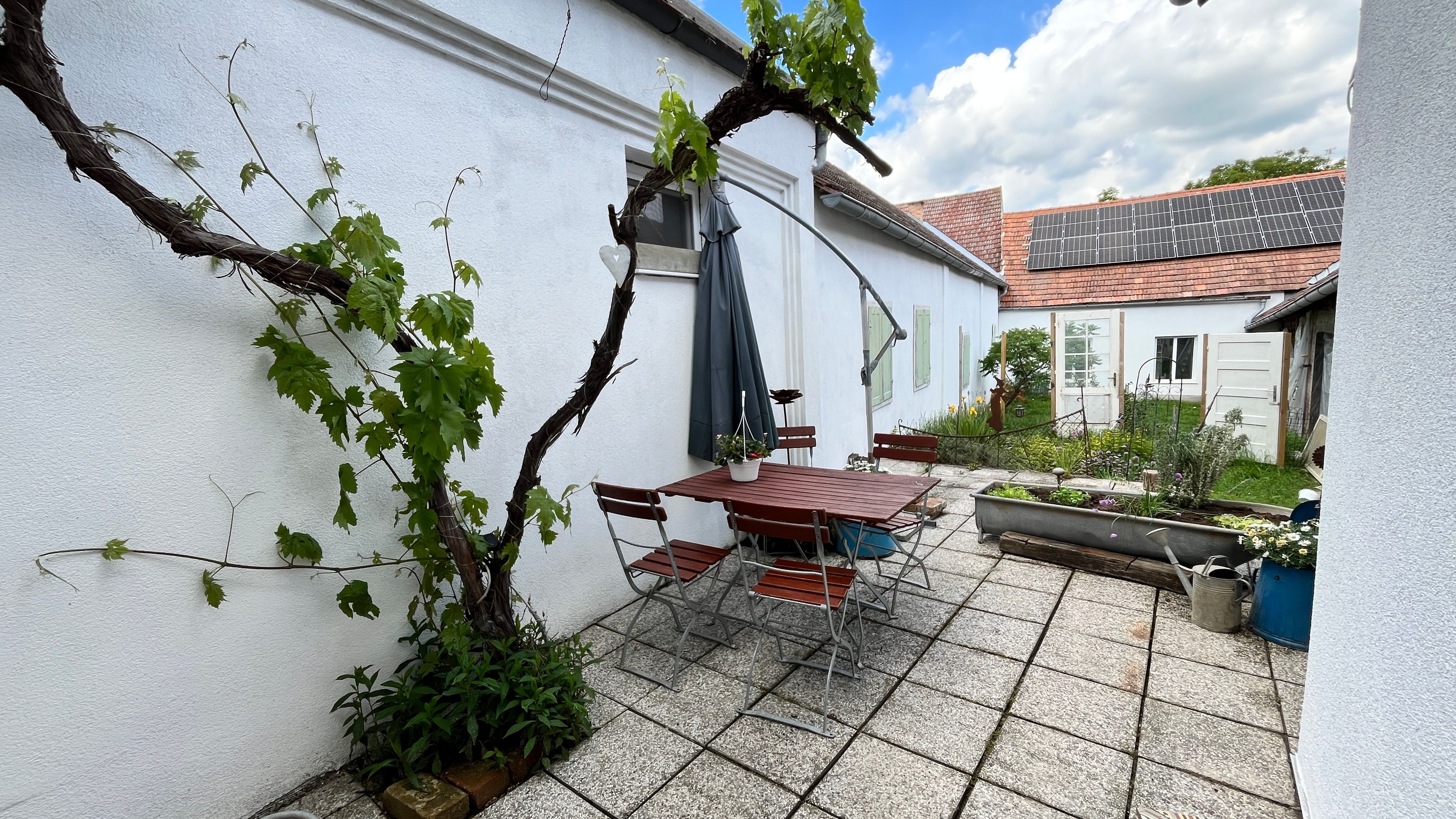 Terrasse mit Tisch, Stühlen und Weinrebe an weißer Wand, Solarpanel auf Dach im Hintergrund.