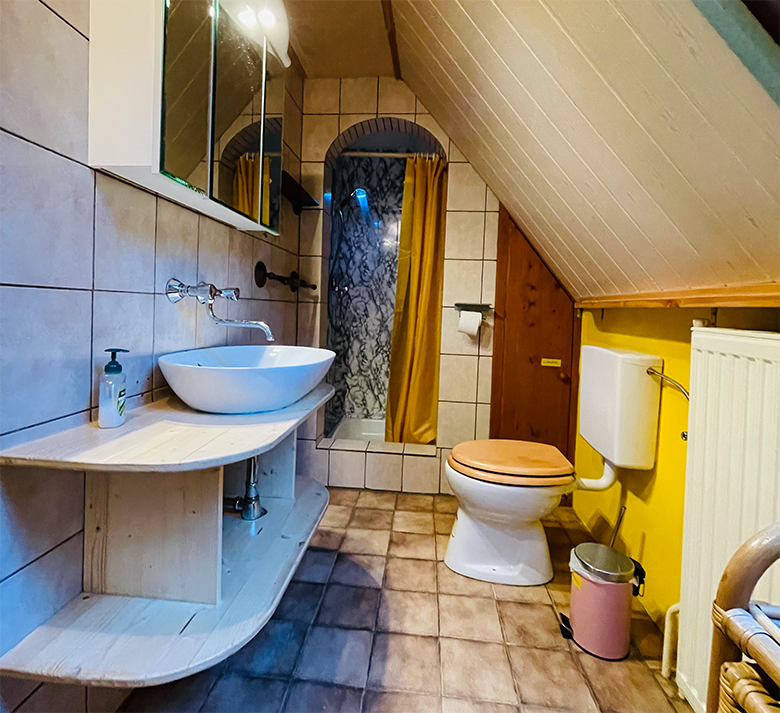 Kleines Badezimmer mit Waschbecken, Toilette und Dusche unter einer Dachschräge.