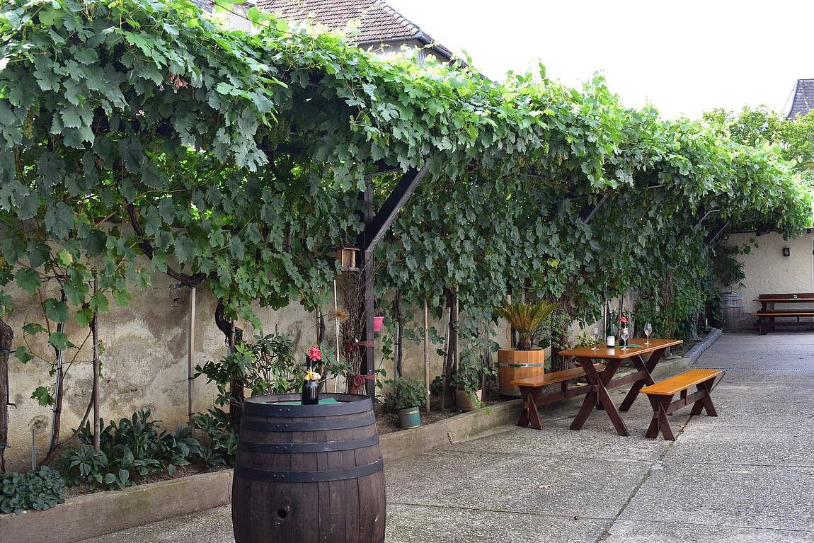 Freisingerhof Weingut Leitner
