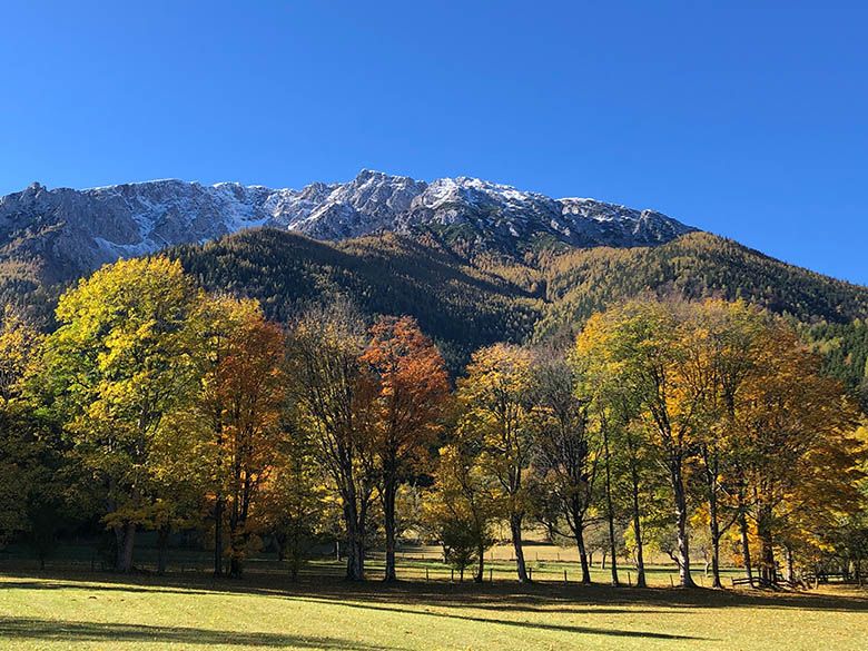 Herbstliche Landschaft mit bunten Bäumen und schneebedeckten Bergen im Hintergrund.