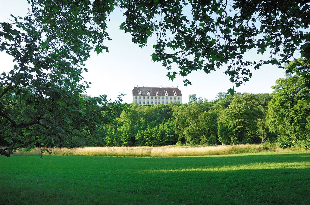 Schloss Stetteldorf hinter Bäumen und Wiese.