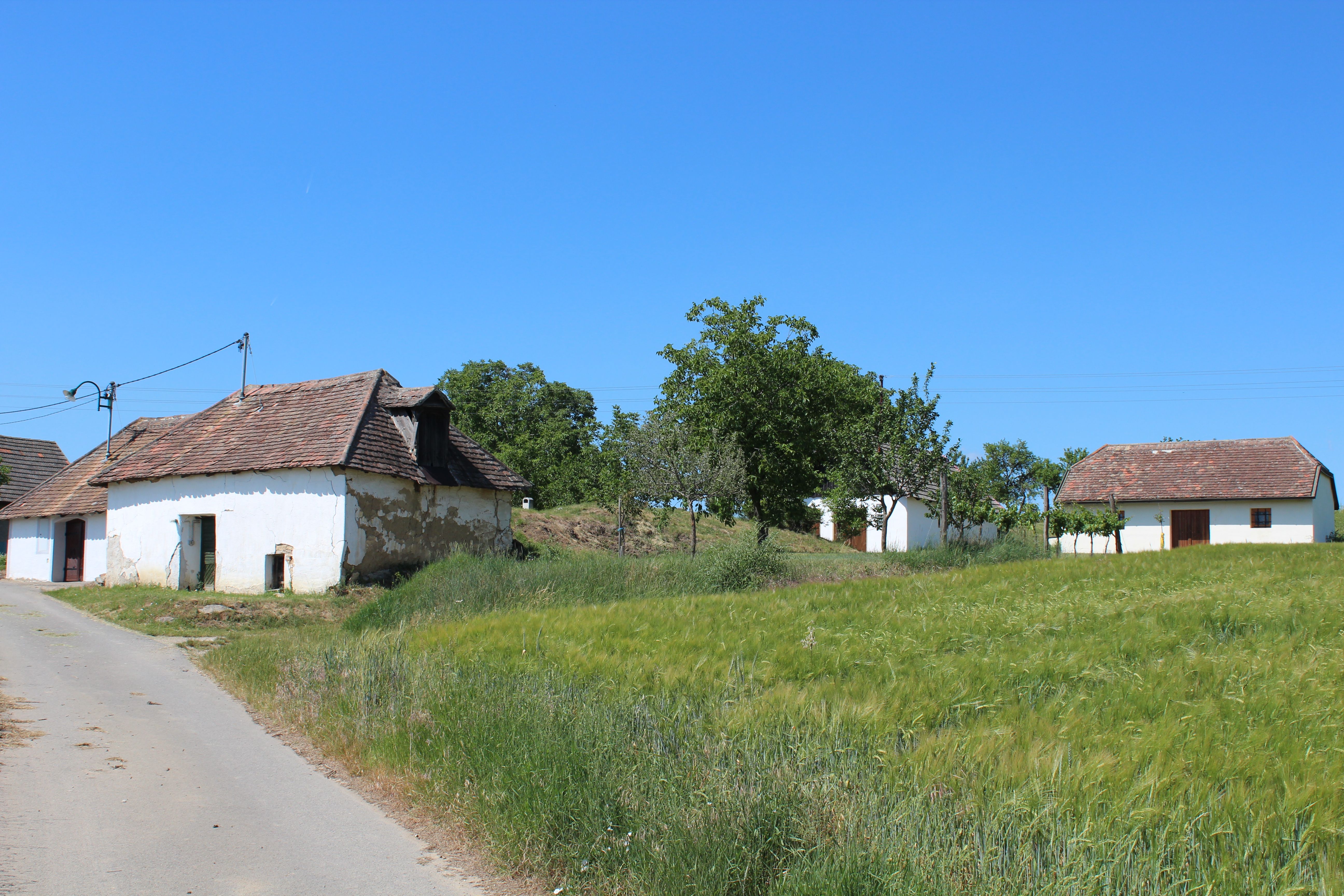 Ländliche Szene mit alten Gebäuden und grünen Feldern unter blauem Himmel.