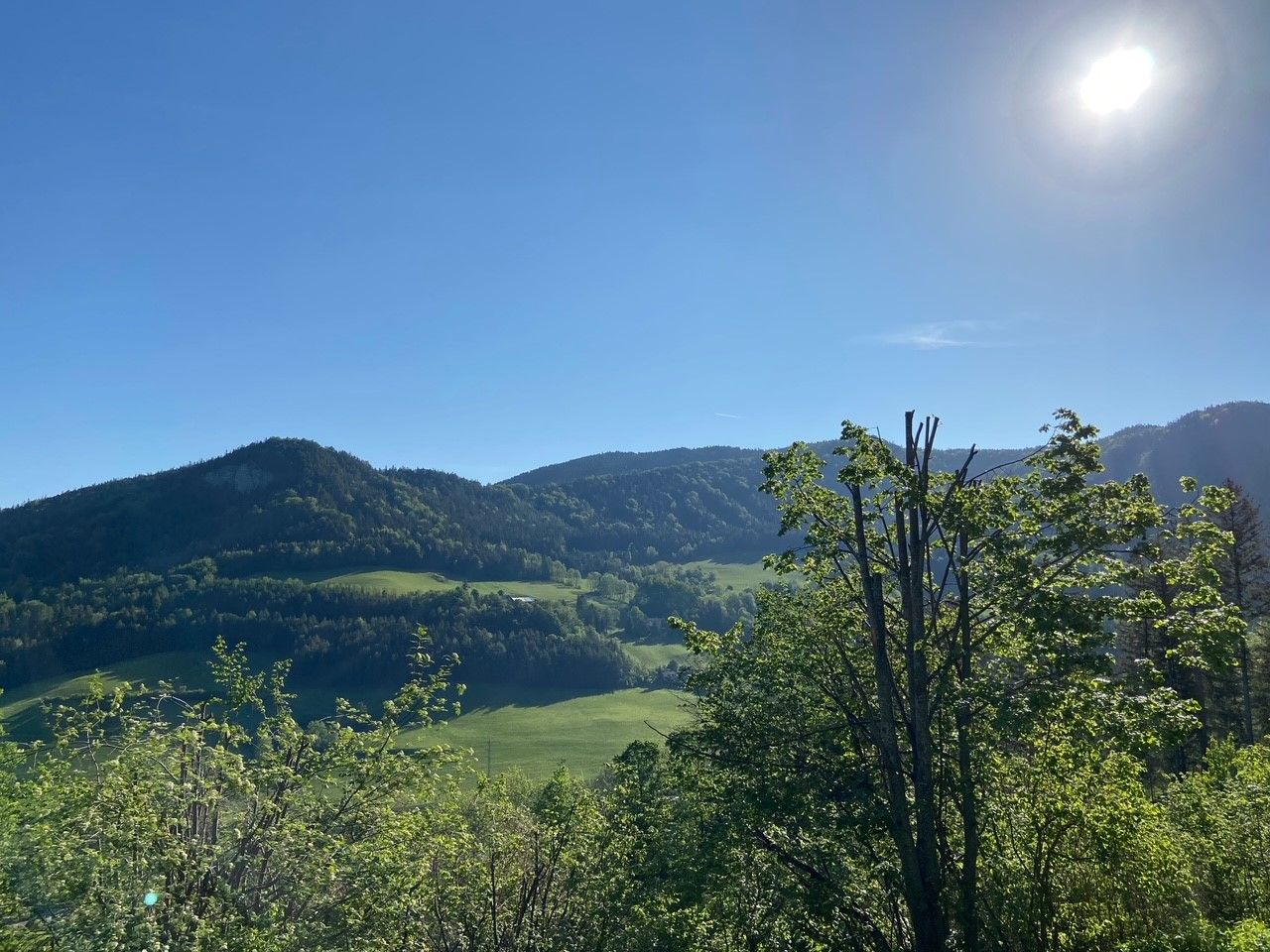Blick auf eine grüne Hügellandschaft unter klarem, blauem Himmel mit strahlender Sonne.