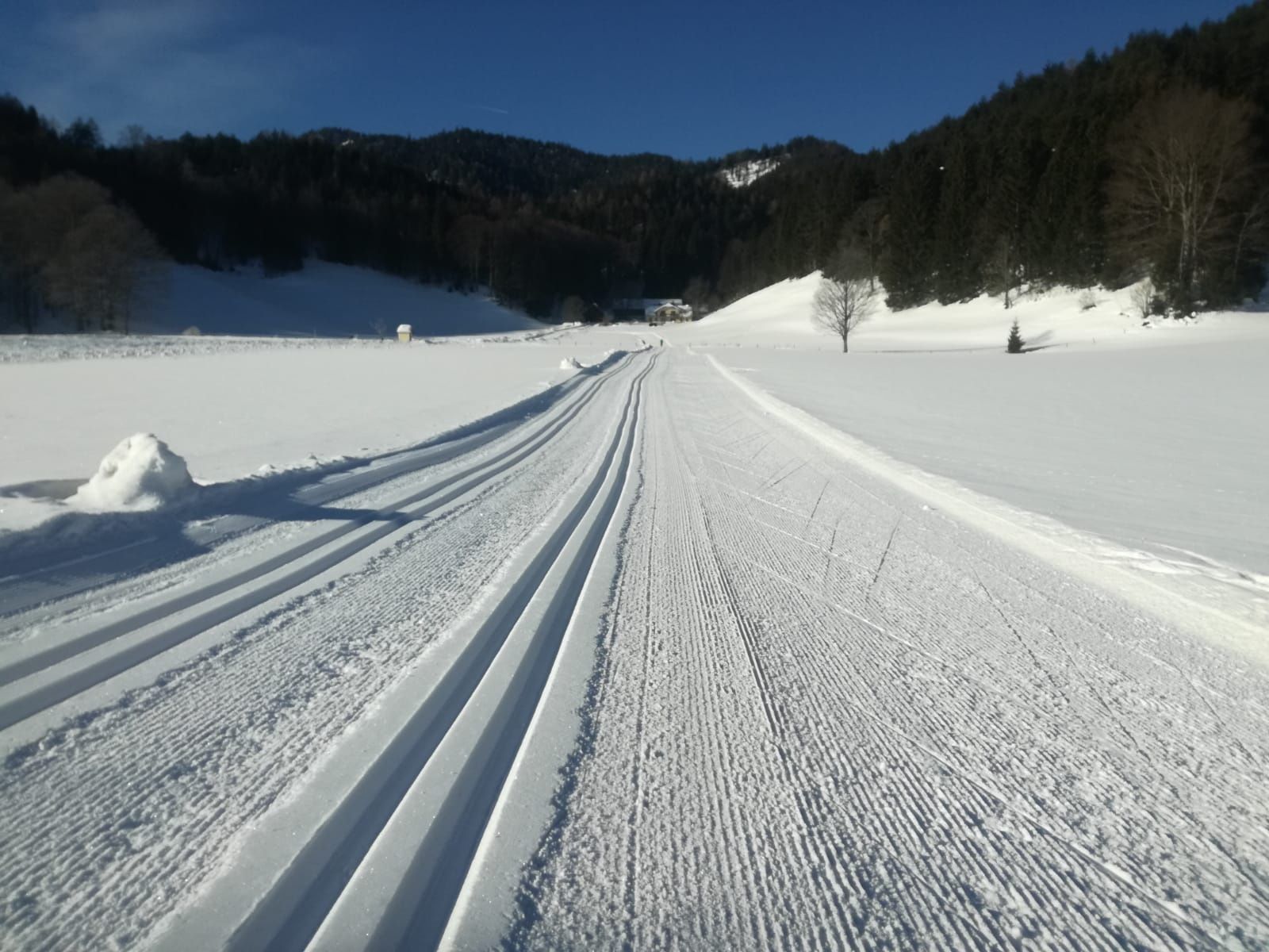 Panoramaloipen