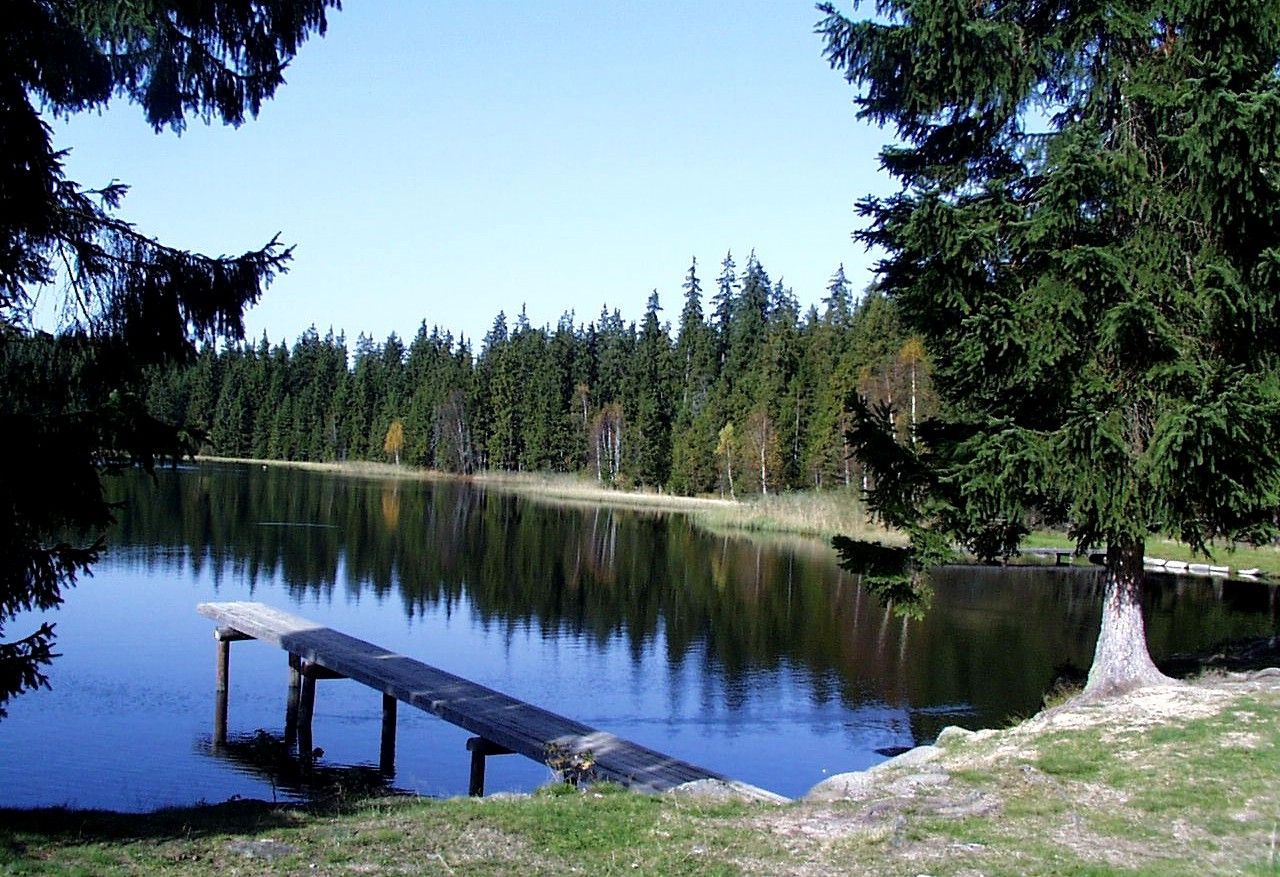 Ein ruhiger See im Naturpark Nordwald mit einem Holzsteg und umgeben von dichten Nadelbäumen.