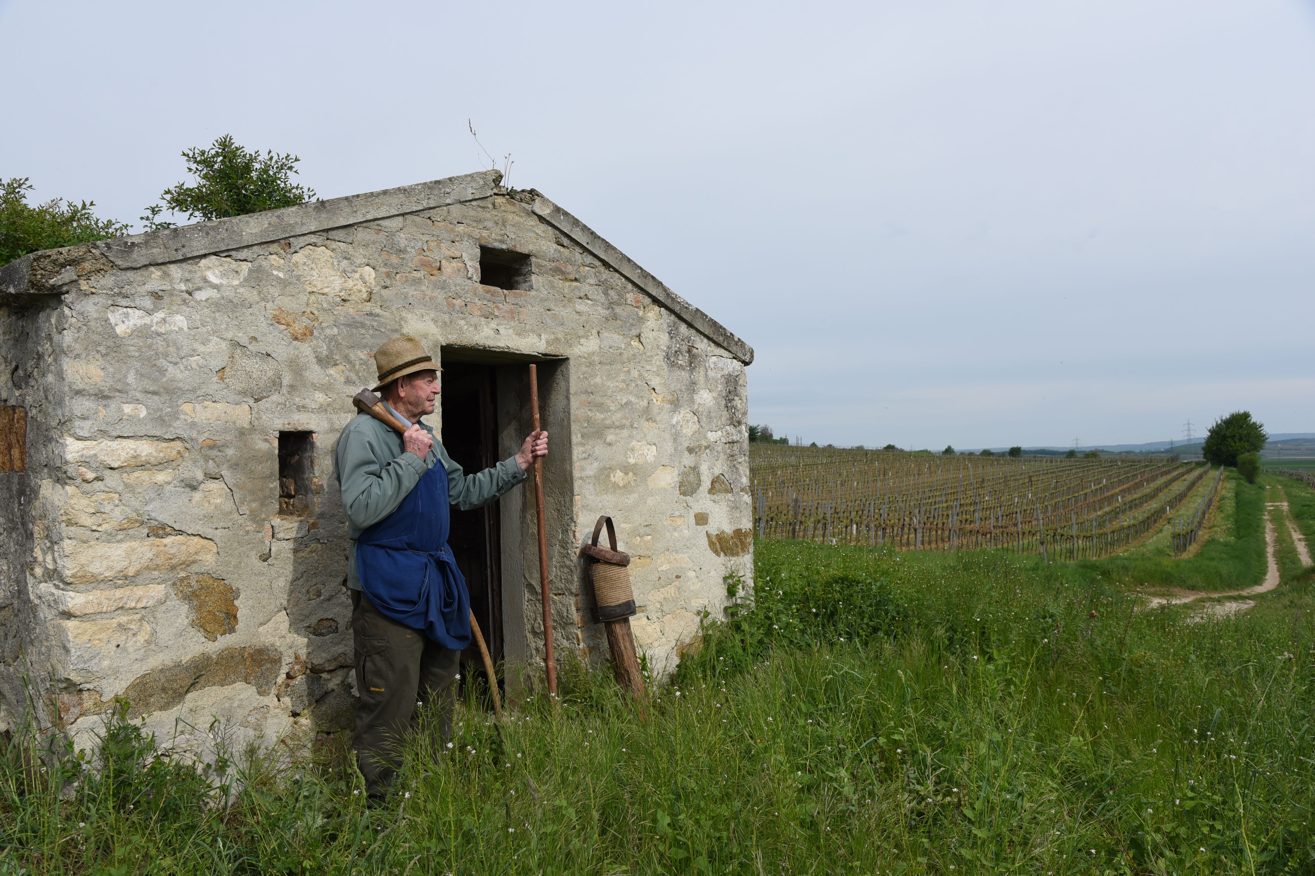 Ein Mann mit Strohhut steht vor einer kleinen Steinhütte in einem Weinberg.