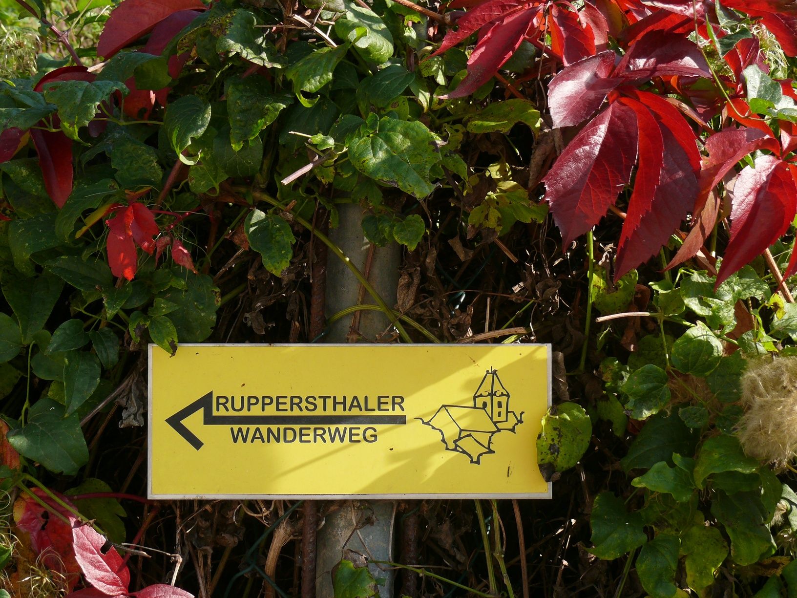 Ruppersthaler Wanderweg