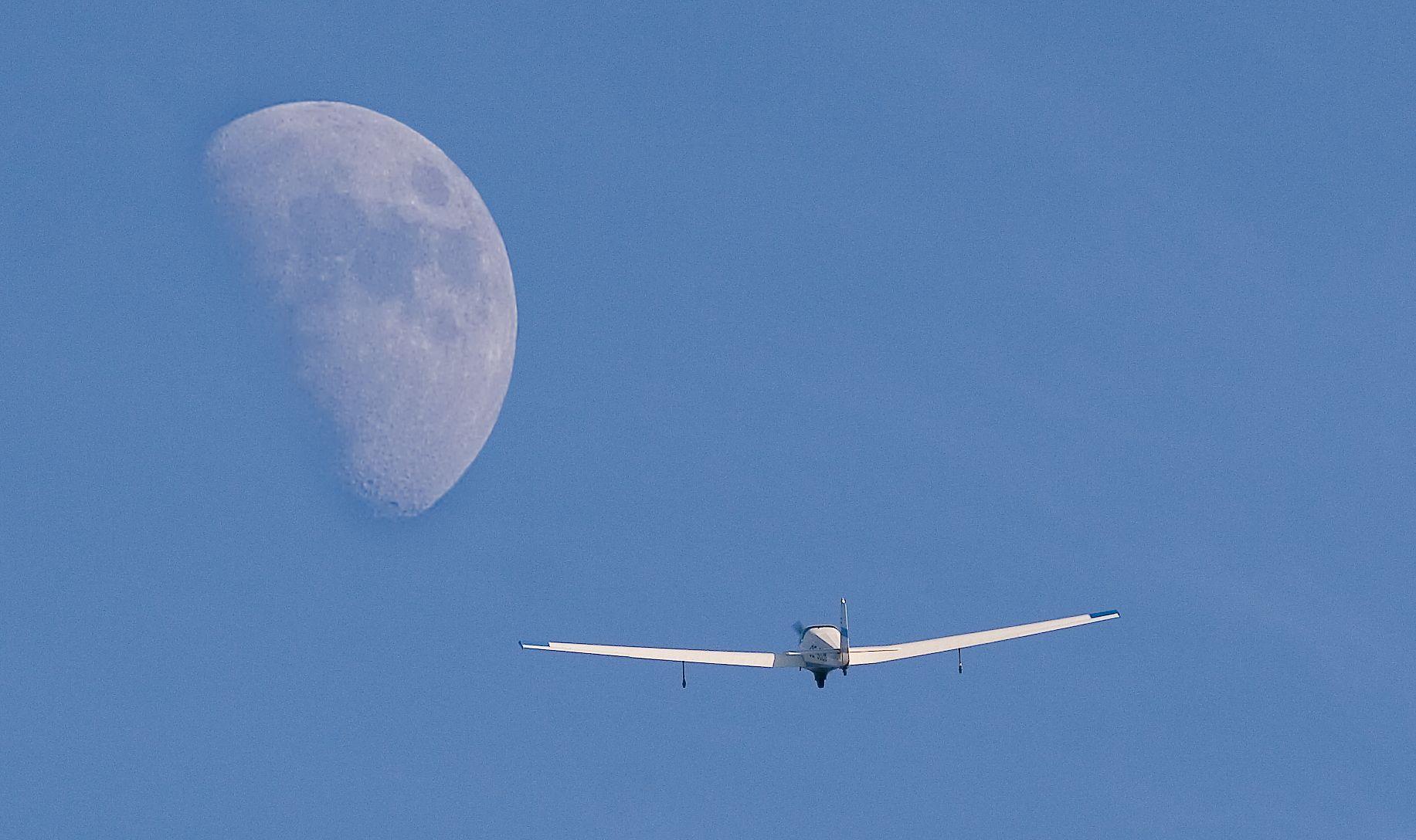 Ein Segelflugzeug fliegt vor einem großen Mond am blauen Himmel.