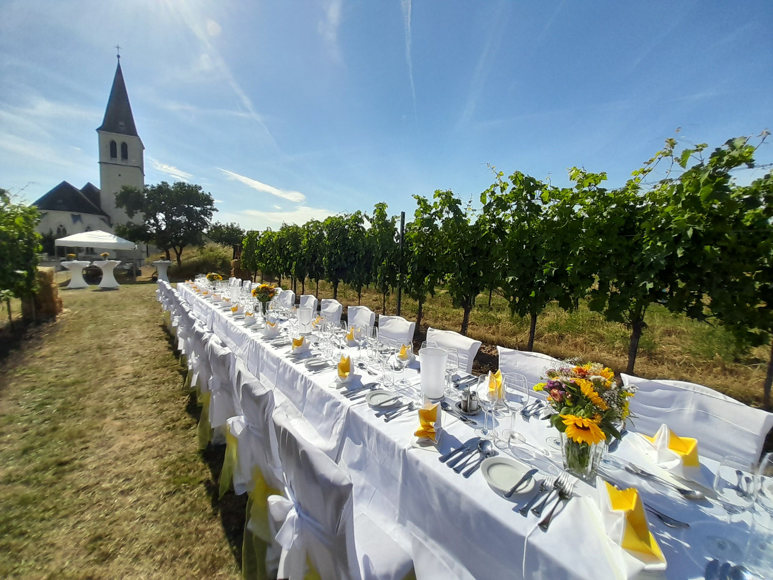 Lange, festlich gedeckte Tafel im Freien neben einem Weinberg, im Hintergrund eine Kirche.