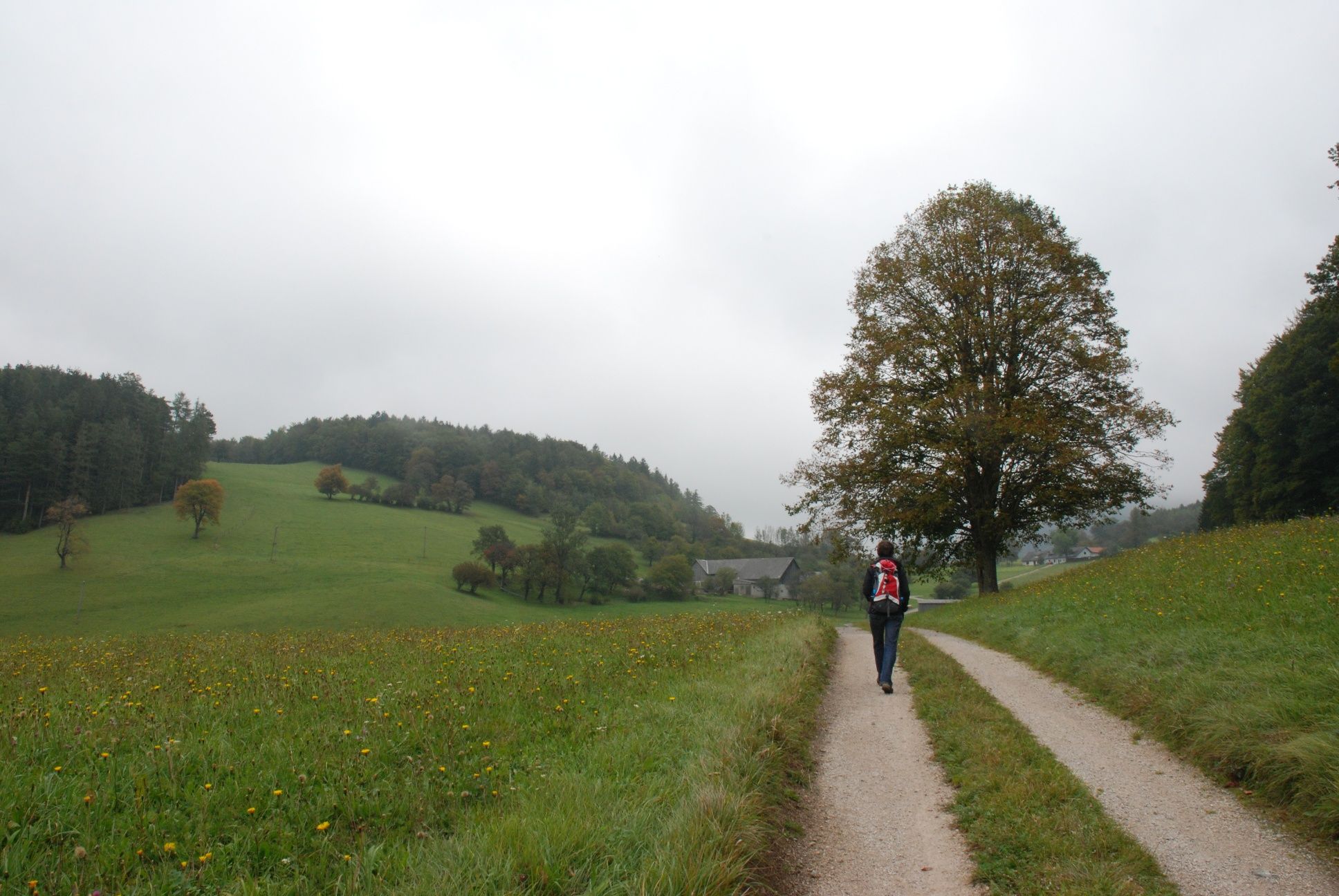 über Wiesen in den Höfnergraben